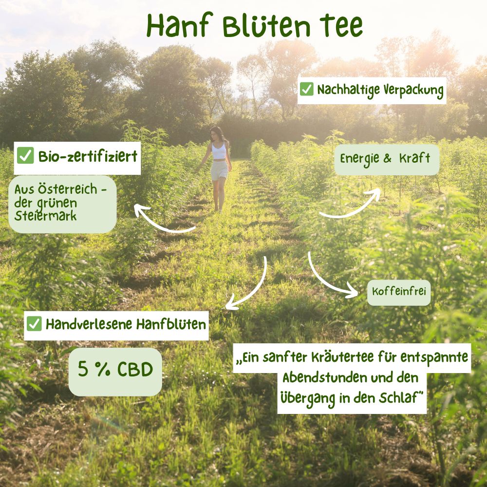Hanfblütentee: Bio-zertifiziert, aus Österreich, handverlesen, 5% CBD, koffeinfrei.