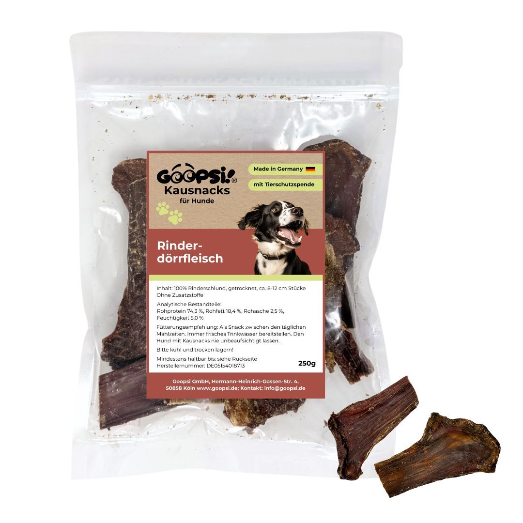 Hund kaut Rinderdörrfleisch, ideal als Snack oder zum Kauen.