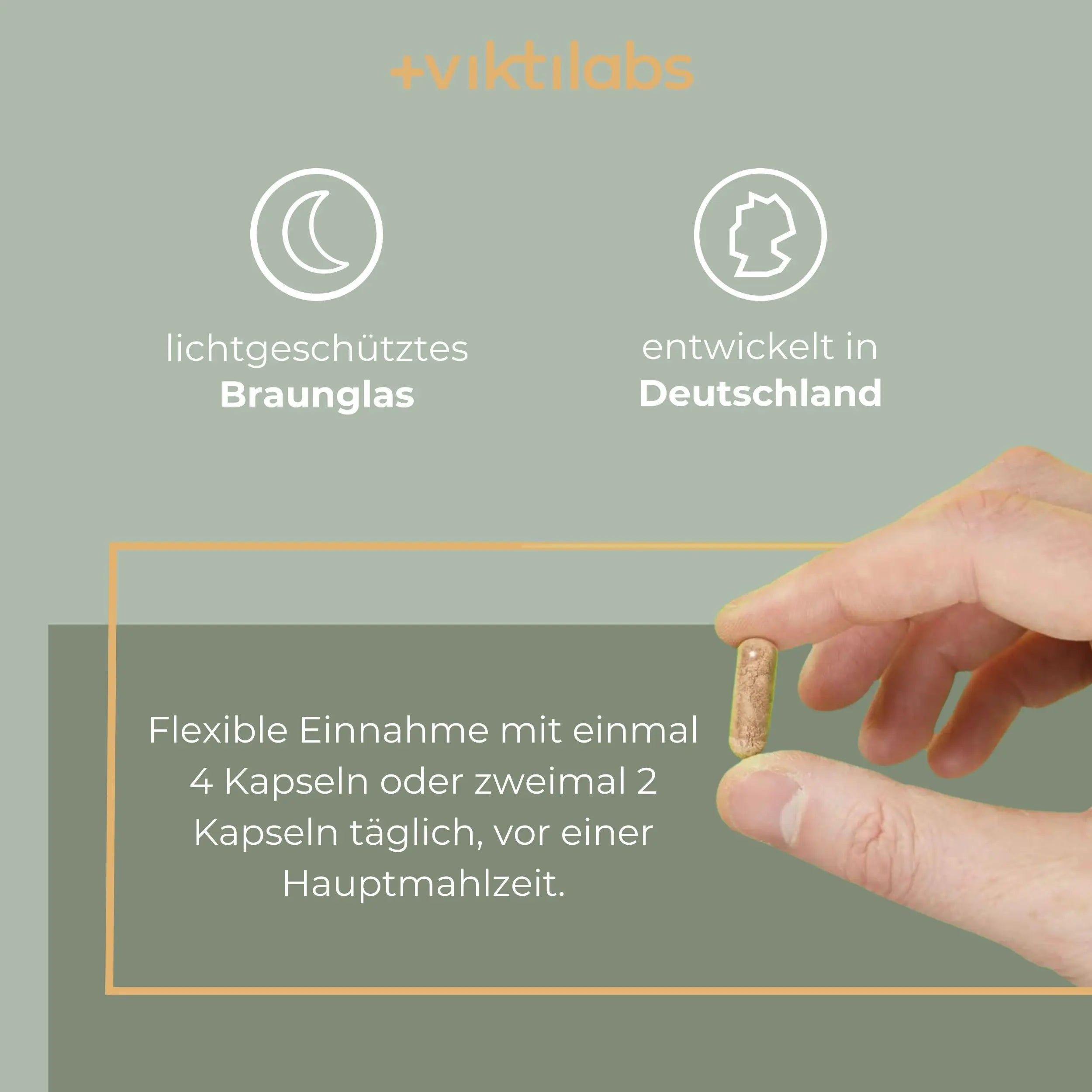 Viktilabs Leber Komplex Daily: Mit Cholin und Alpha-Liponsäure