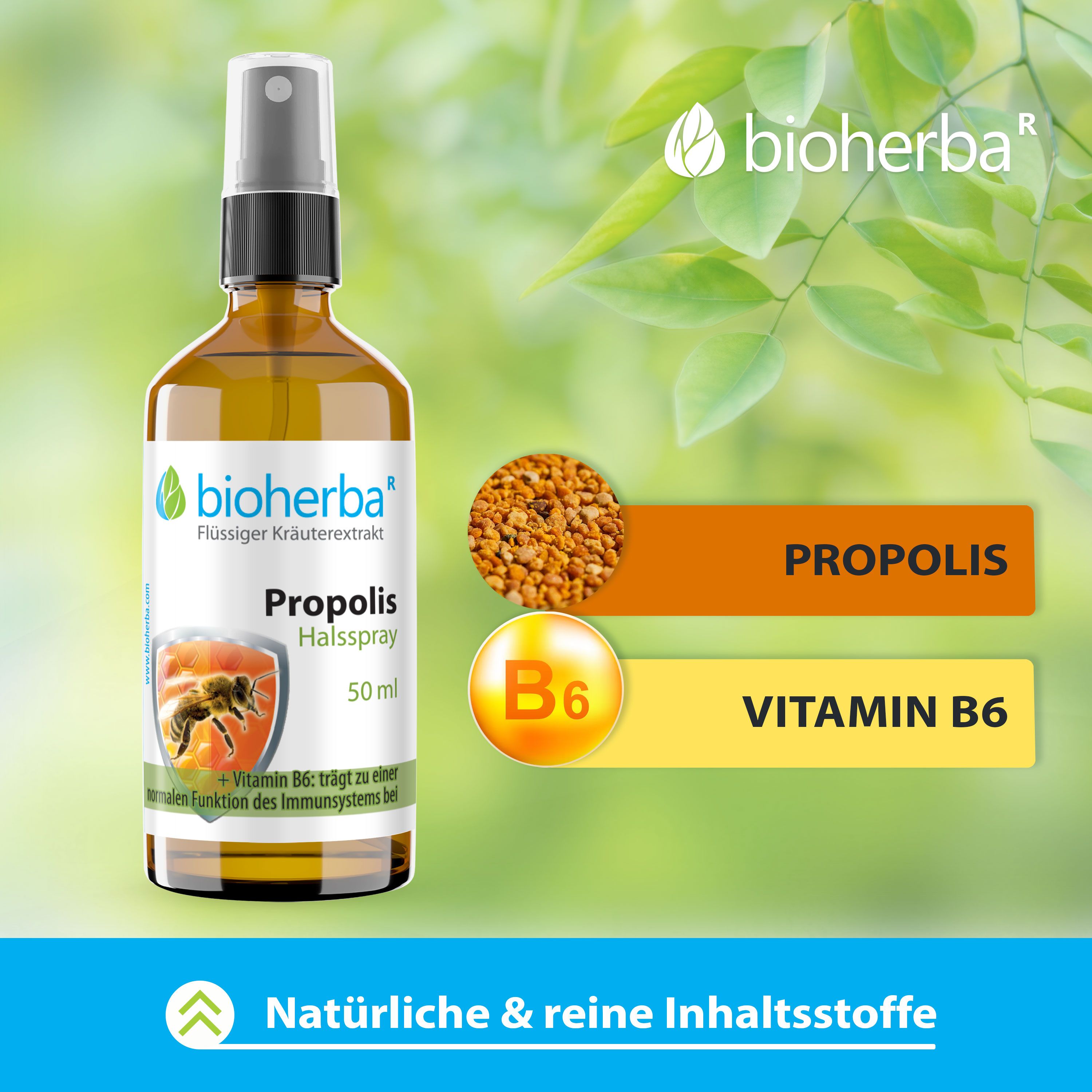 Bioherba Halsspray mit Propolis Extrakt