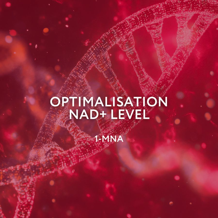 Endotelio Life Synergy Kapseln mit 1-MNA, Trans-Resveratrol und Zink