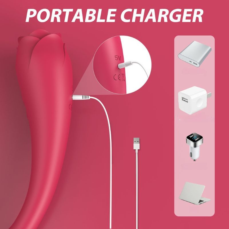Rosa Vibrator mit Ladeanschluss und Zubehör: Ladegeräte.