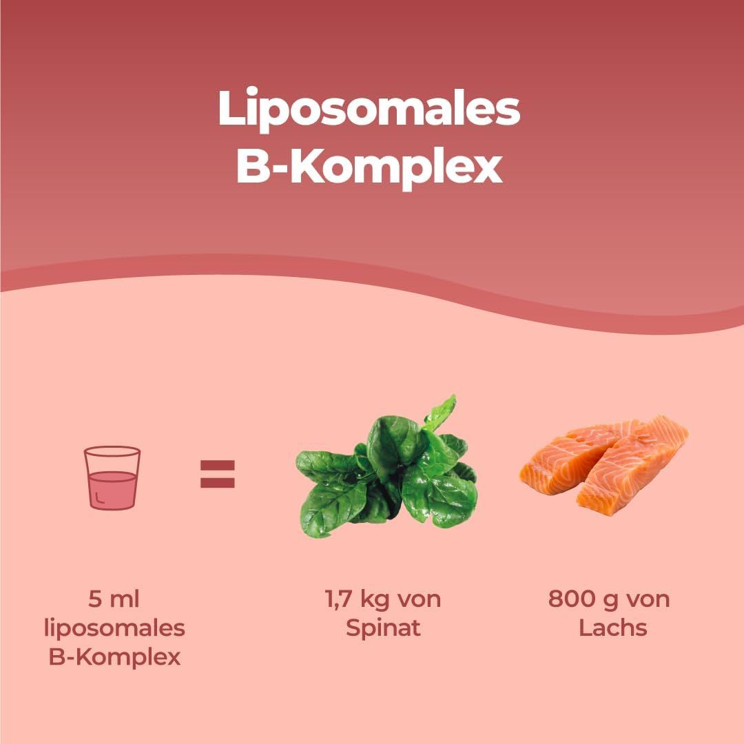 Grafik: 5 ml liposomales B-Komplex entspricht 1,7 kg Spinat und 800 g Lachs. Glas mit Flüssigkeit, Spinat und Lachsstücke.