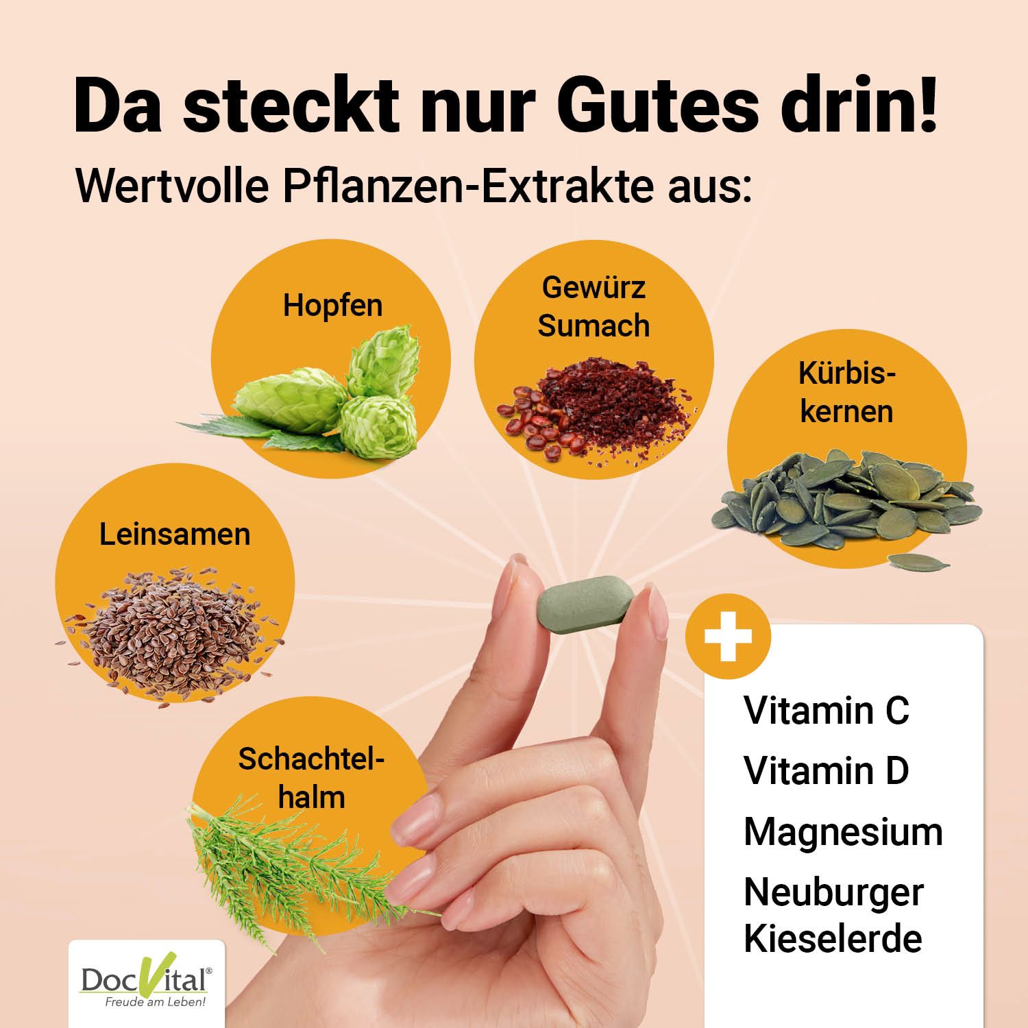 Hand hält Tablette. Kreise mit Hopfen, Sumach, Kürbiskernen, Leinsamen, Schachtelhalm. Plus Vitamin C, D, Magnesium.