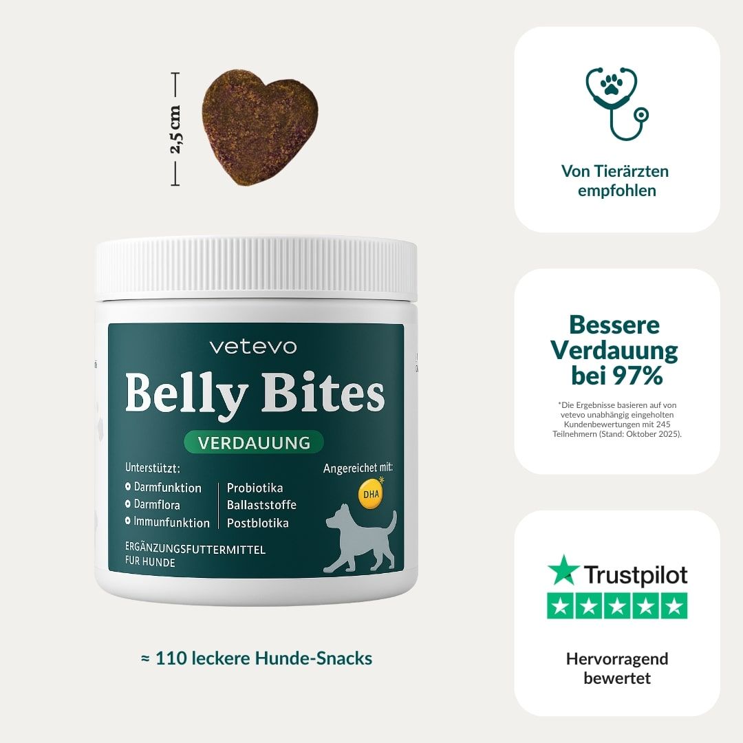 Produkt Belly Bites, Dose. Herzförmiger Snack, 2,5 cm. Text: Von Tierärzten empfohlen, bessere Verdauung bei 97%. 110 Snacks.