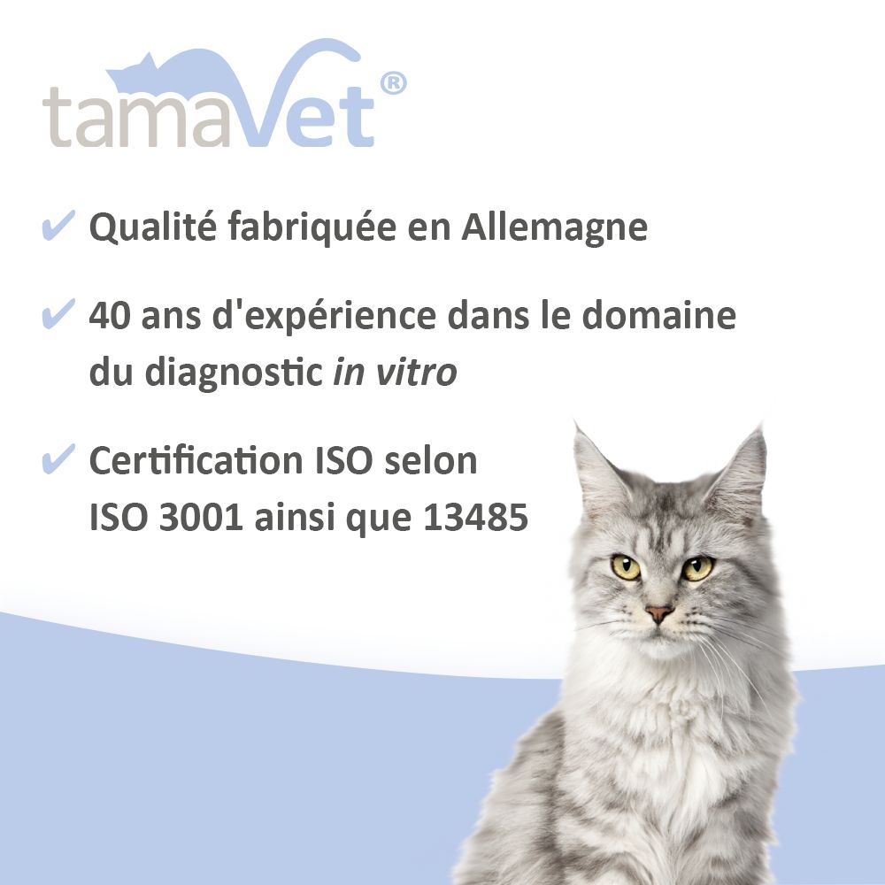 Chat avec texte : Qualité fabriquée en Allemagne, 40 ans d'expérience, certification ISO.