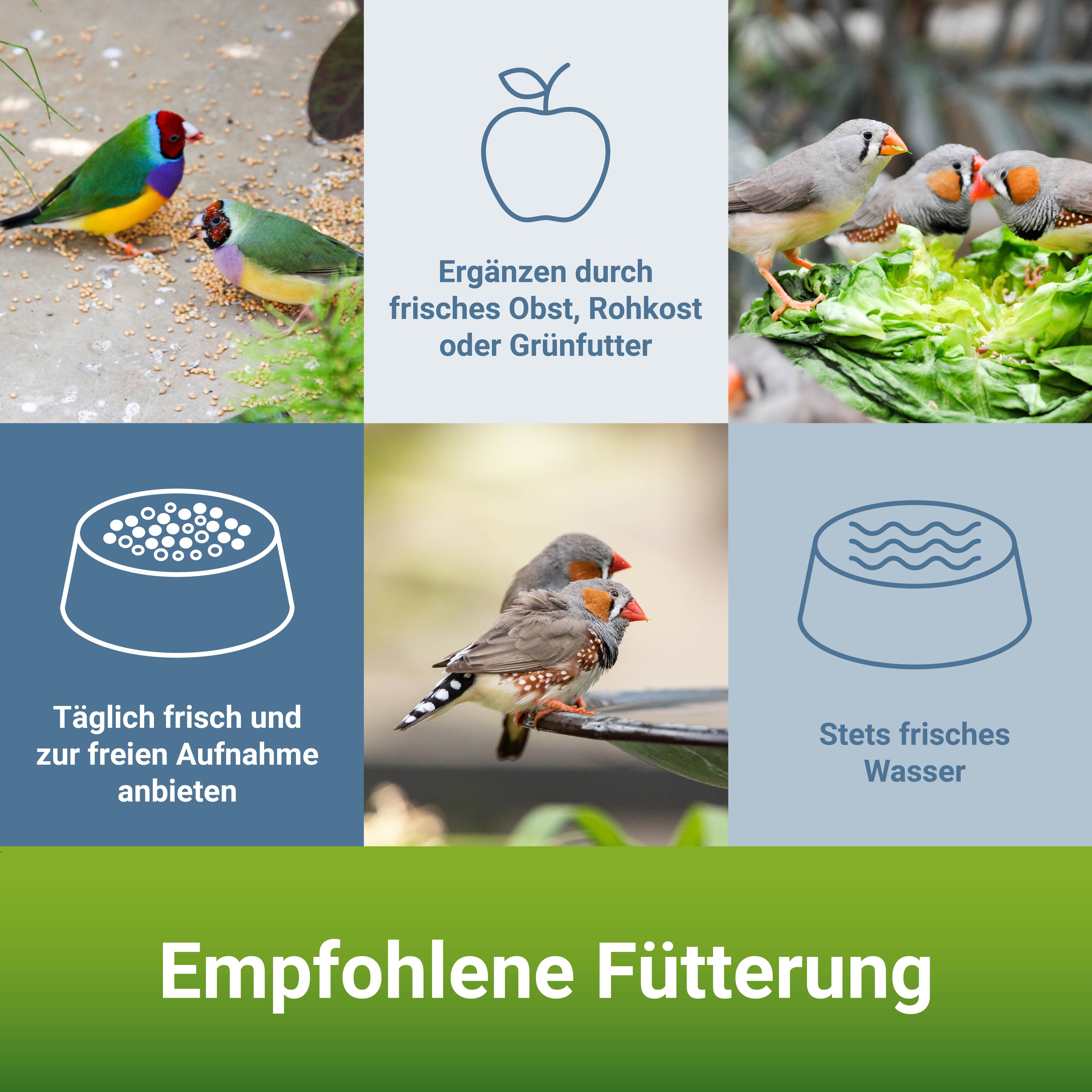 PANTO® Exotenfutter mit Pluramin®