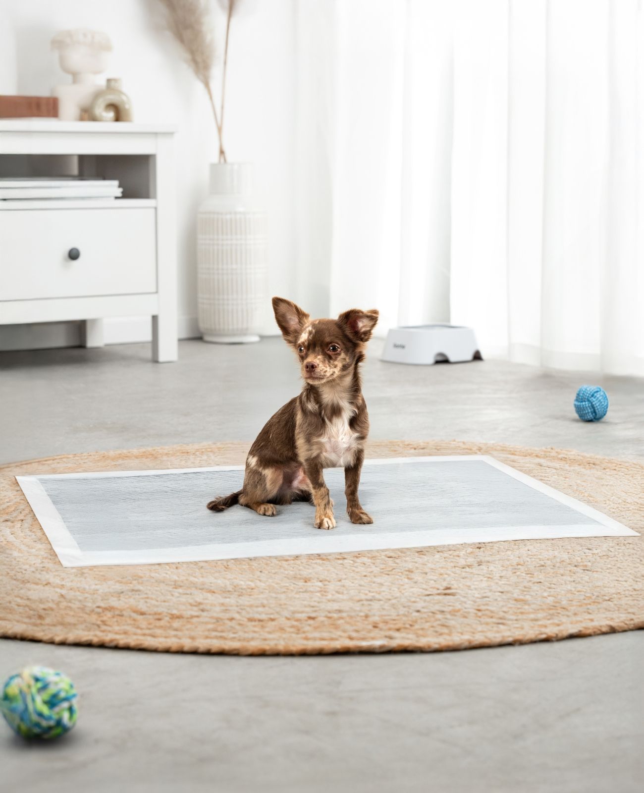 lionto Hunde Hygieneunterlage mit Kohlefaser