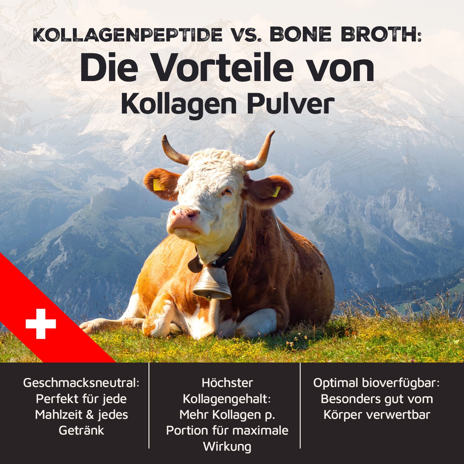 Carnivoro® Kollagenpeptide - Kollagenhydrolysat Pulver