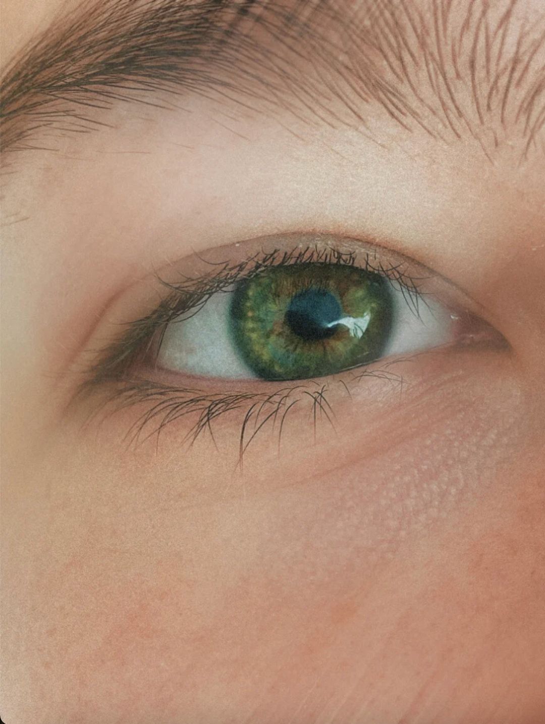 Nahaufnahme eines grünen Auges mit Wimpern und Augenbrauen. Die Iris ist grün mit einem dunklen Zentrum. Haut um das Auge.