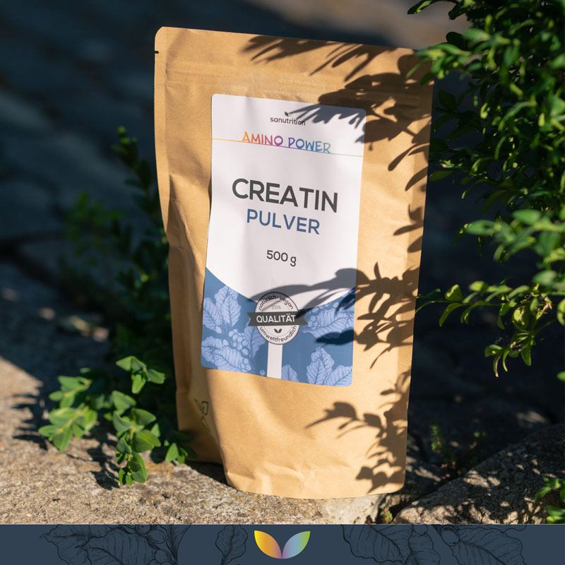 Braune Papiertüte mit weißem Etikett. Aufschrift: Creatin Pulver, 500g. Siegel: Qualität. Im Hintergrund: Grünpflanzen und Steine.