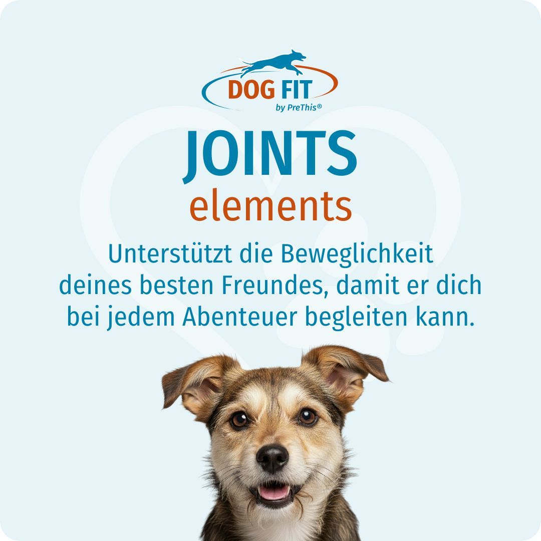 Logo DOG FIT by PreThis®. Text: JOINTS elements. Kleiner Hund. Text: Unterstützt die Beweglichkeit deines besten Freundes.