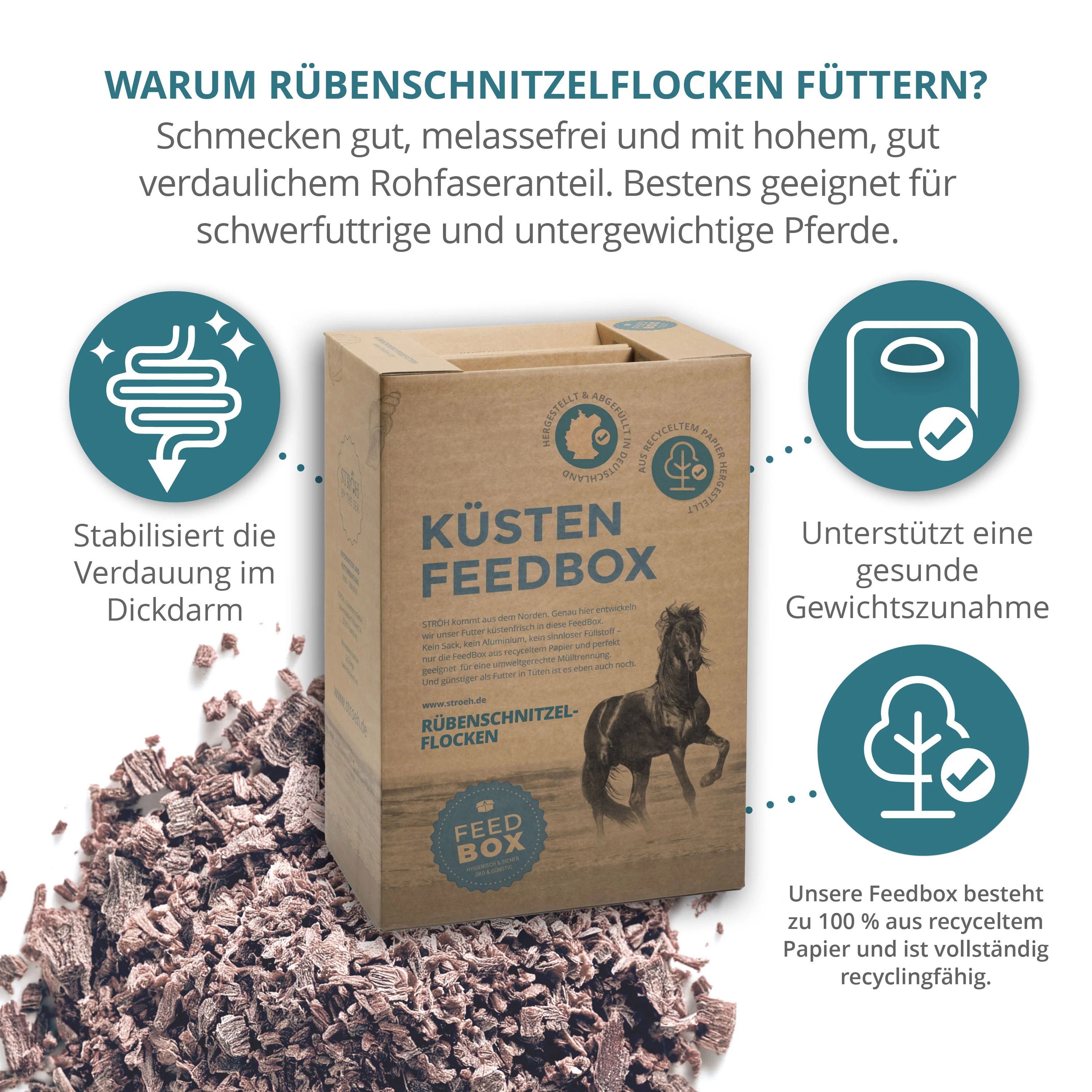 Karton "KÜSTEN FEEDBOX" mit Text und Pferde-Illustration. Daneben Rübenschnitzelflocken. Grafiken: Verdauung, Gewichtszunahme, Recycling.
