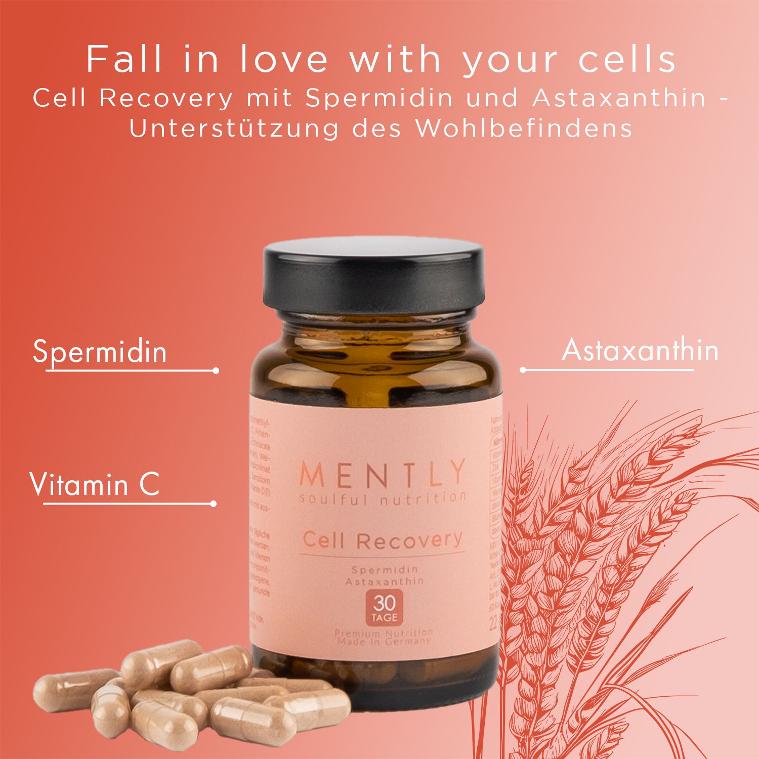 Braune Glasflasche mit Kapseln. Aufschrift: MENTLY Cell Recovery. 30 Tage. Daneben Kapseln und Illustrationen.