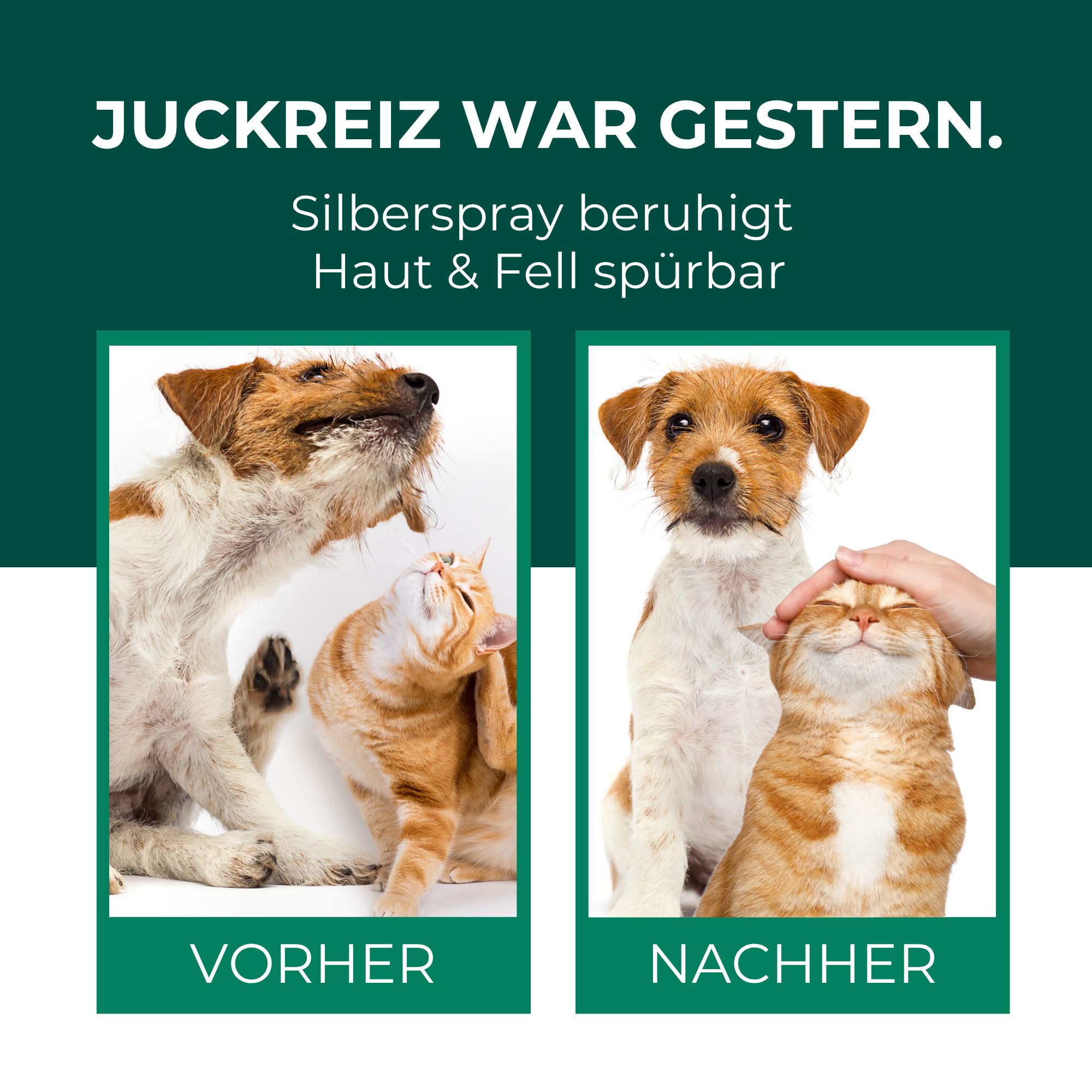 SILBERKRAFT Kolloidales Silberspray für Haustiere