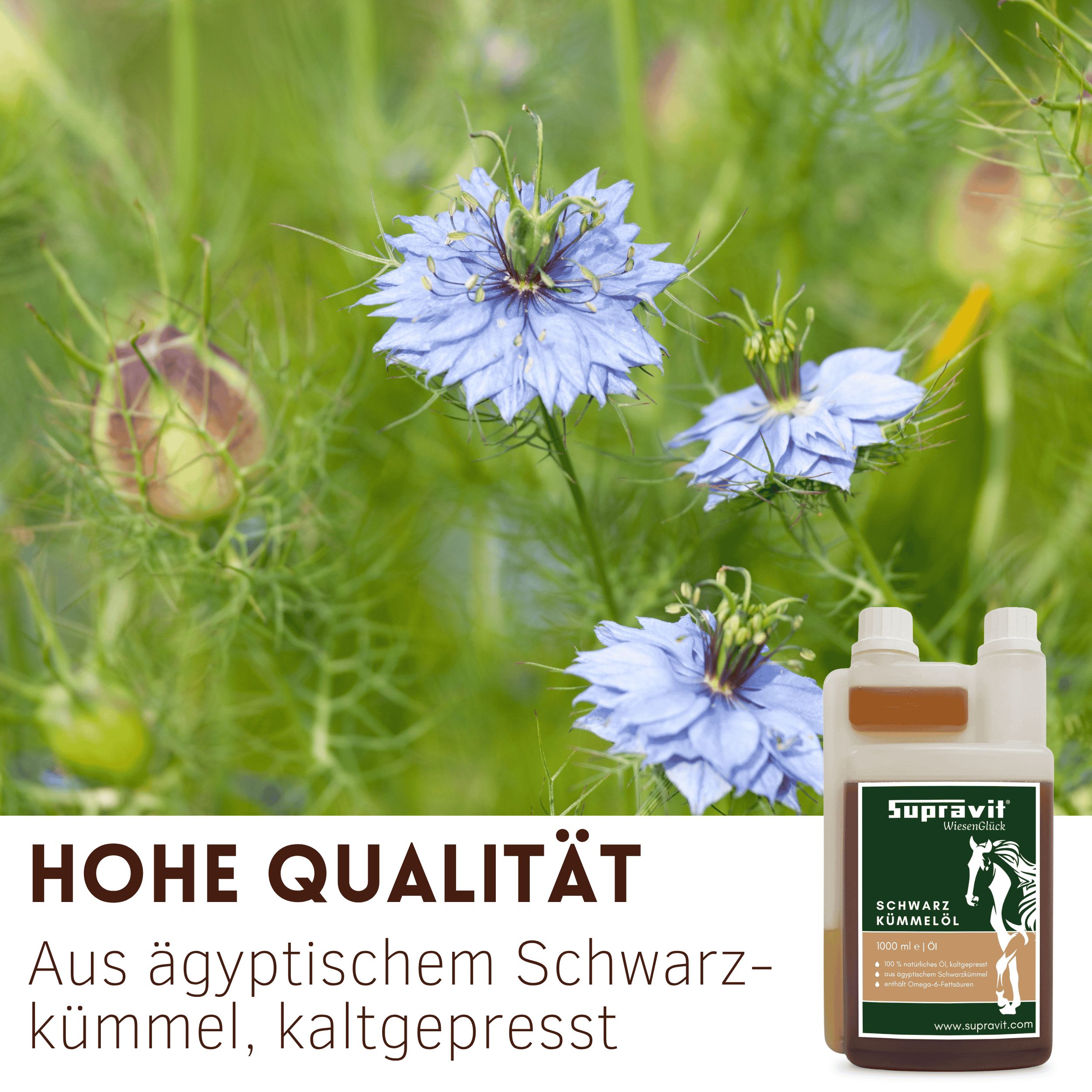 Blaue Nigella-Blüten. Rechts: Flasche mit Produktetikett, Text: Supravit Schwarzkümmelöl. Aus ägyptischem Schwarzkümmel, kaltgepresst.