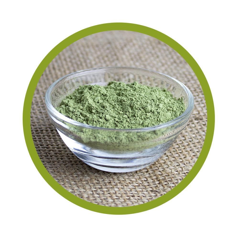 vitalundfitmit100® Bio Matcha Tee/Pulver