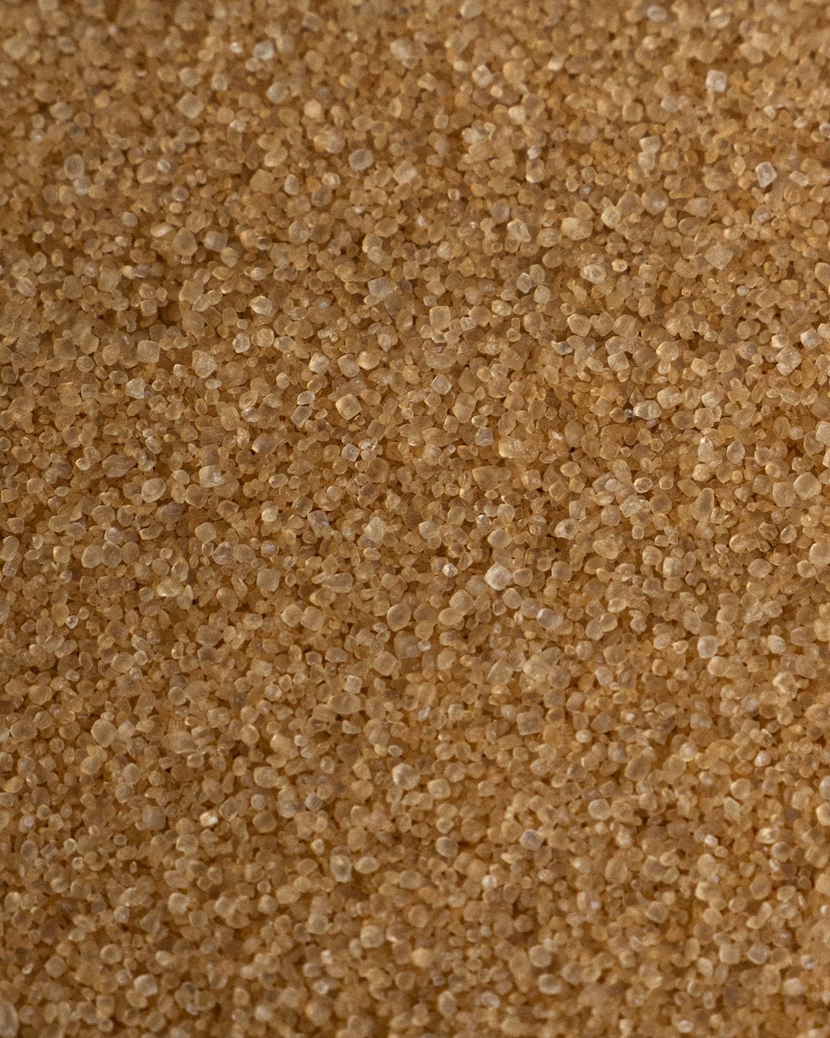 Feine Körner von buxtrade Erythritol Bronze, einem Süßungsmittel.