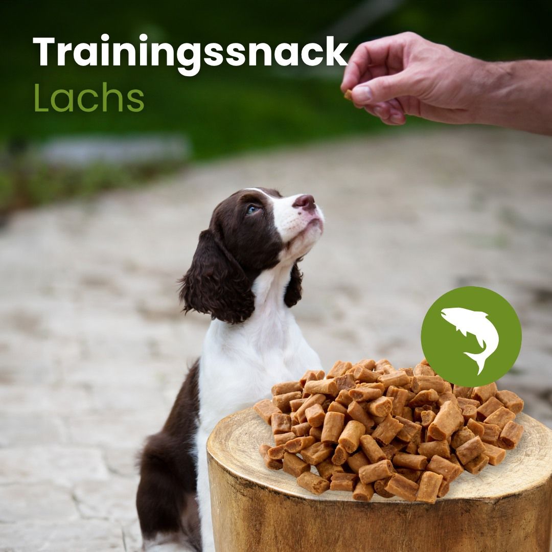 Hundeleckerli-Mix mit verschiedenen Sorten, präsentiert auf einem Baumstumpf.