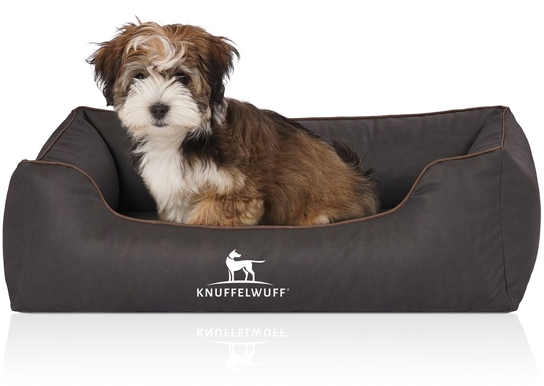 Hundebett, dunkelgrau mit brauner Kante. Knuffelwuff Logo. Kleiner Hund sitzt im Bett. Rechteckige Form mit erhöhten Seiten.