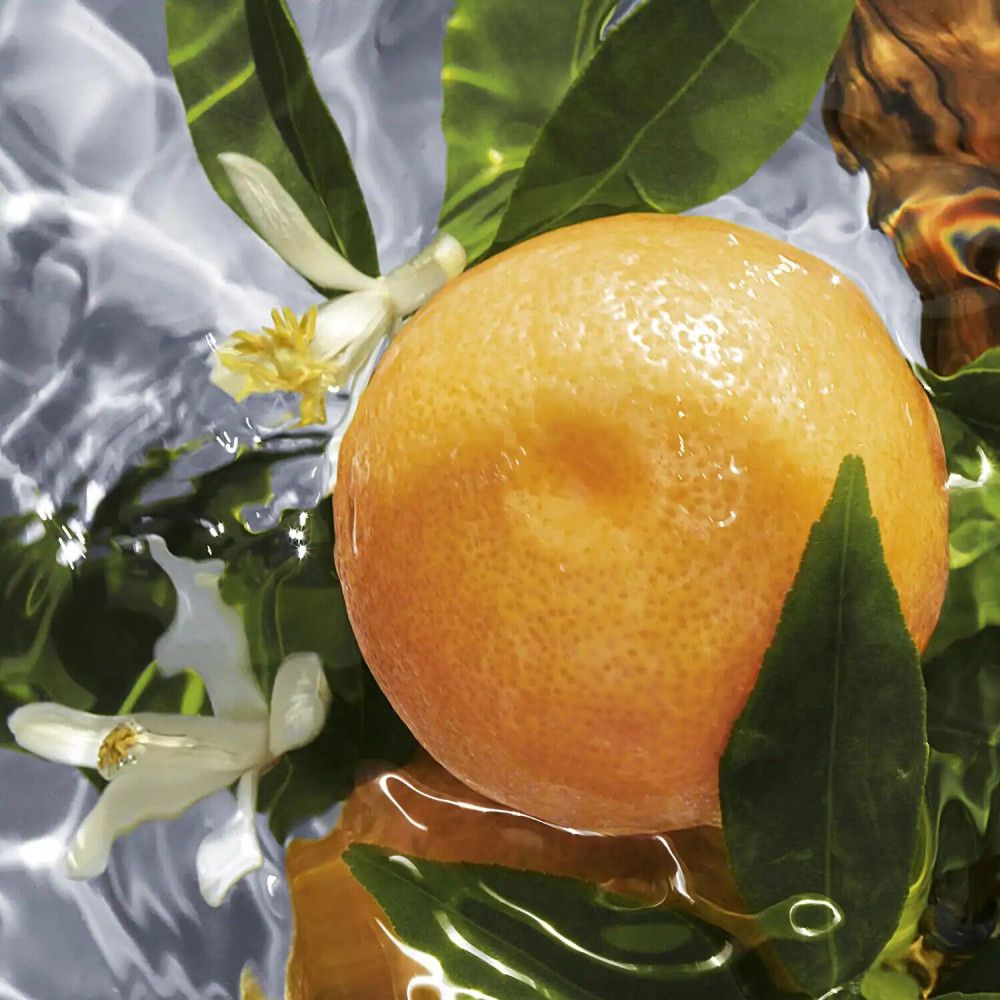 Orange in Wasser mit Blättern und Blüten. Nahaufnahme.