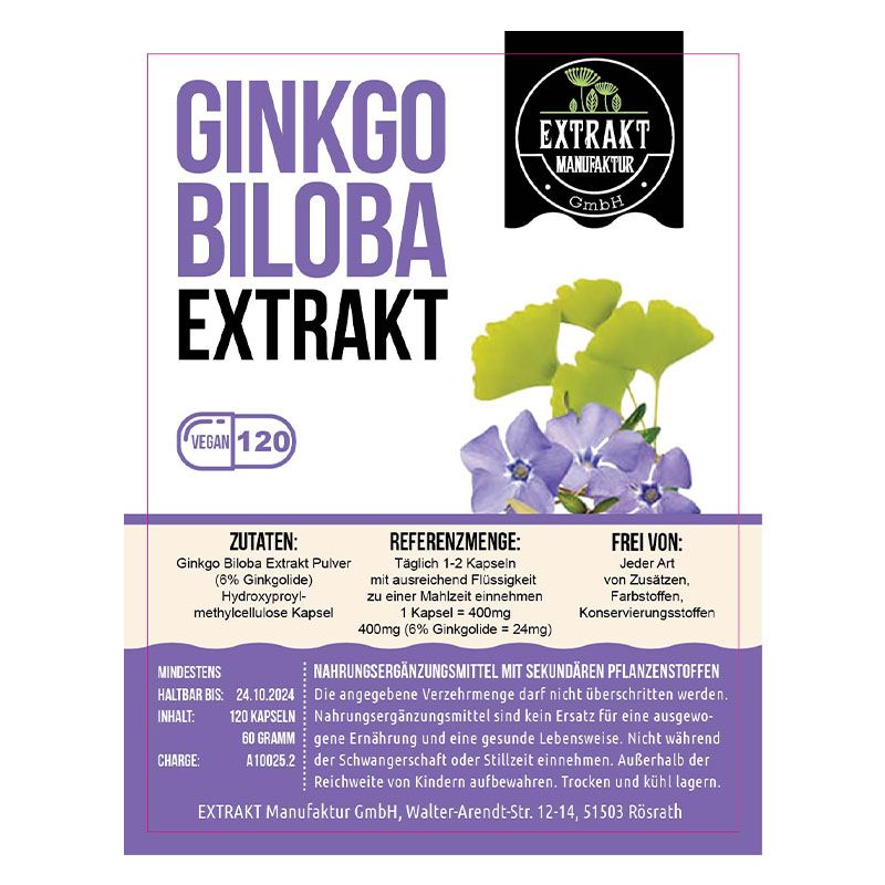 Etikett "Ginkgo Biloba Extrakt" mit Logo und Illustrationen von Ginkgo-Blättern und Blüten. Enthält 120 Kapseln. Vegan-Siegel.