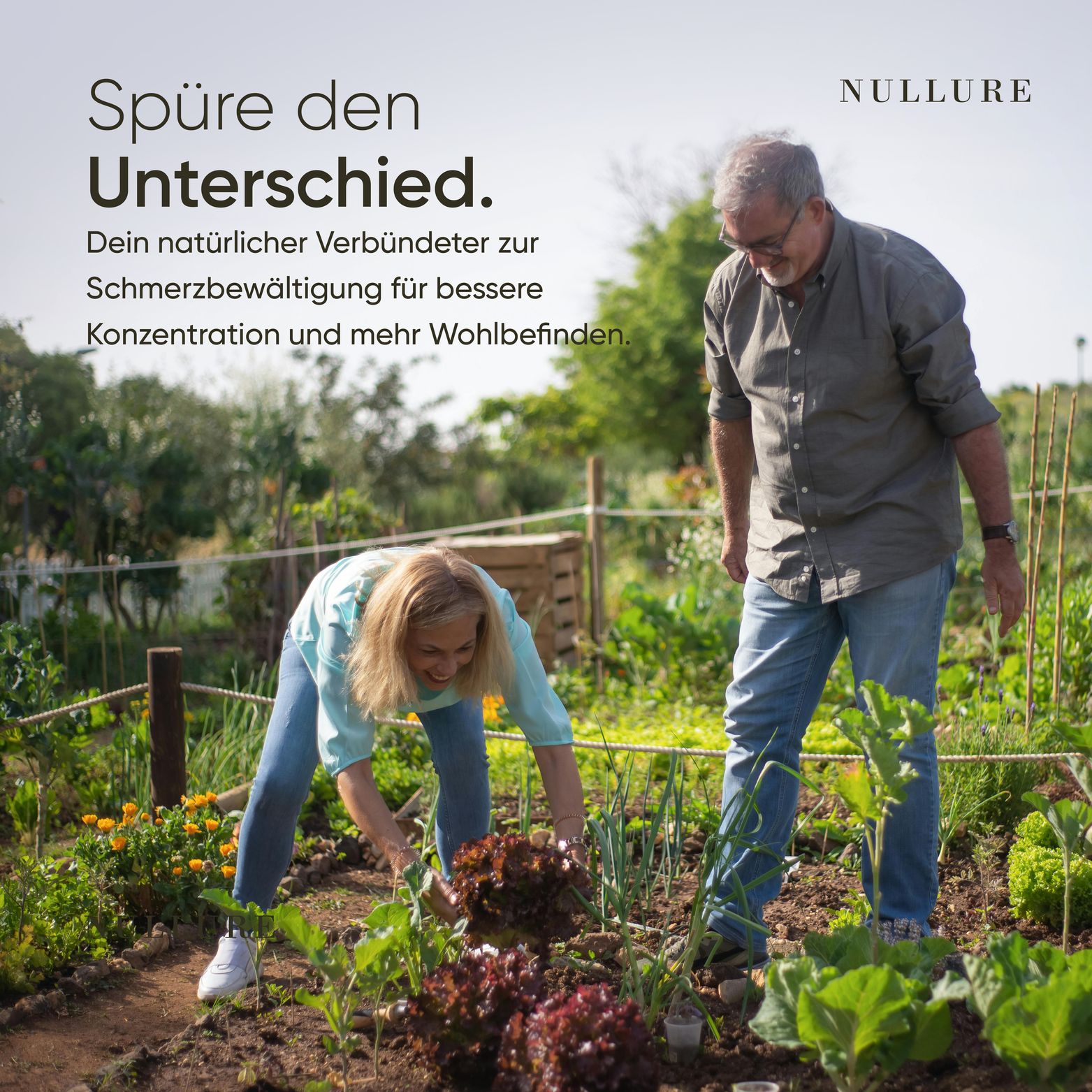 Nullure PEA - Palmitoylethanolamid - 400 mg