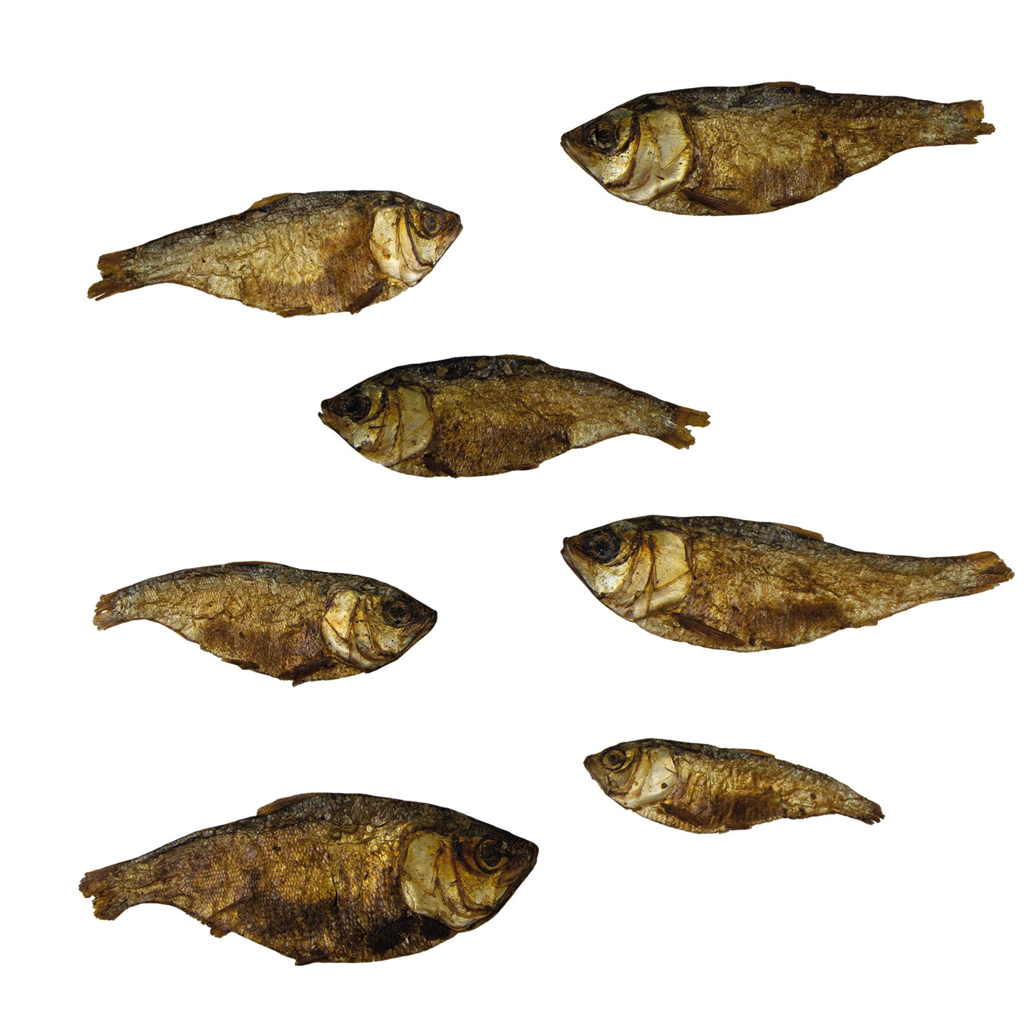 Sieben gebratene Mojarra-Snackfische, braun, auf weißem Hintergrund. Fischform deutlich erkennbar, ohne Verpackung.