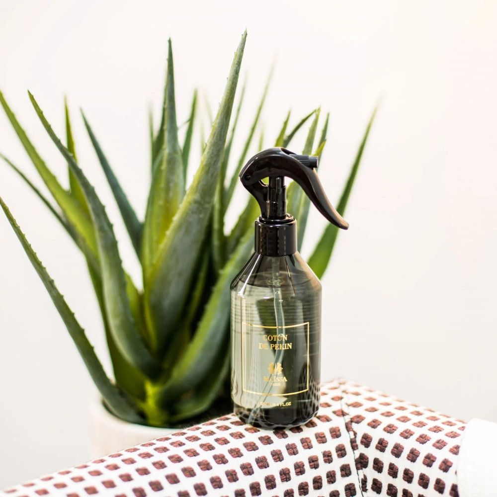 Sprühflasche mit schwarzem Sprühkopf. Etikett mit Text. Steht vor einer Pflanze.