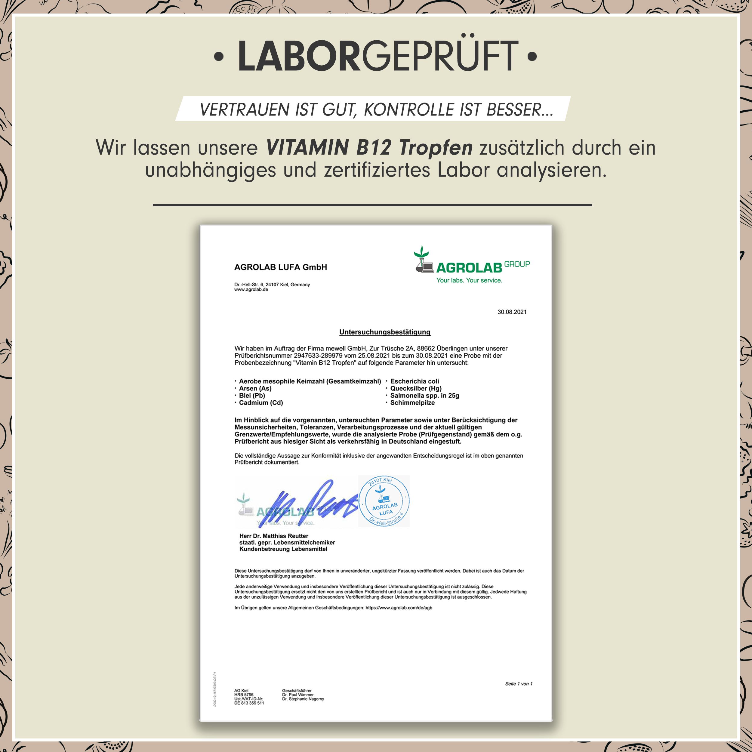 ProFuel - VITAMIN B12 Tropfen - 500 mcg bioaktives Vitamin B12 (Methylcobalamin) pro Tropfen