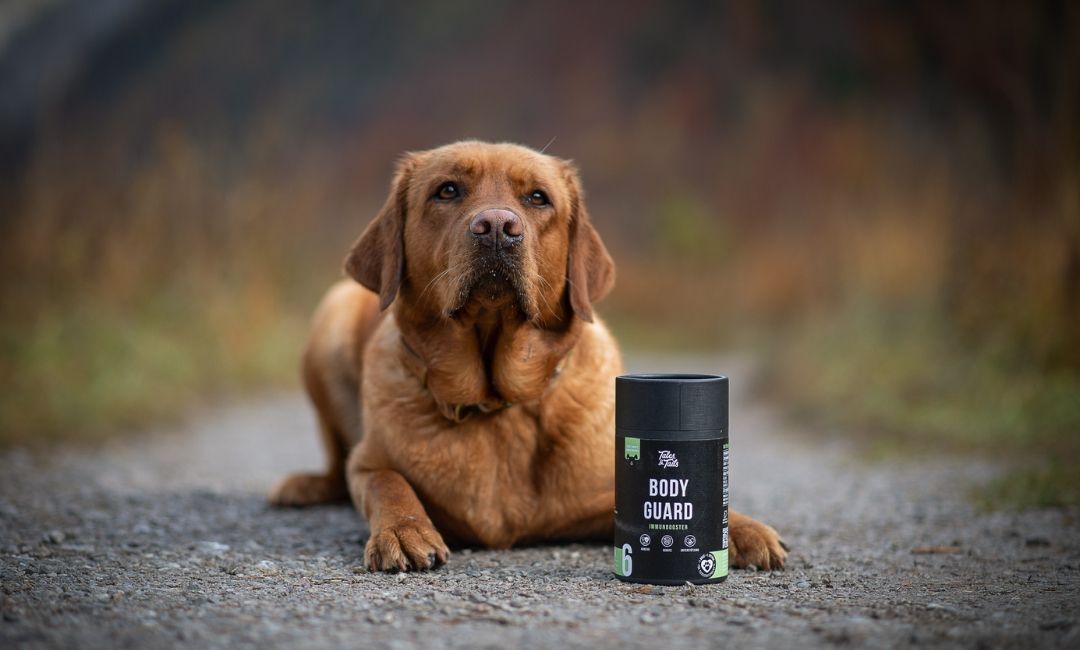 Tales & Tails Bodyguard - Funktionaler Hundesnack
