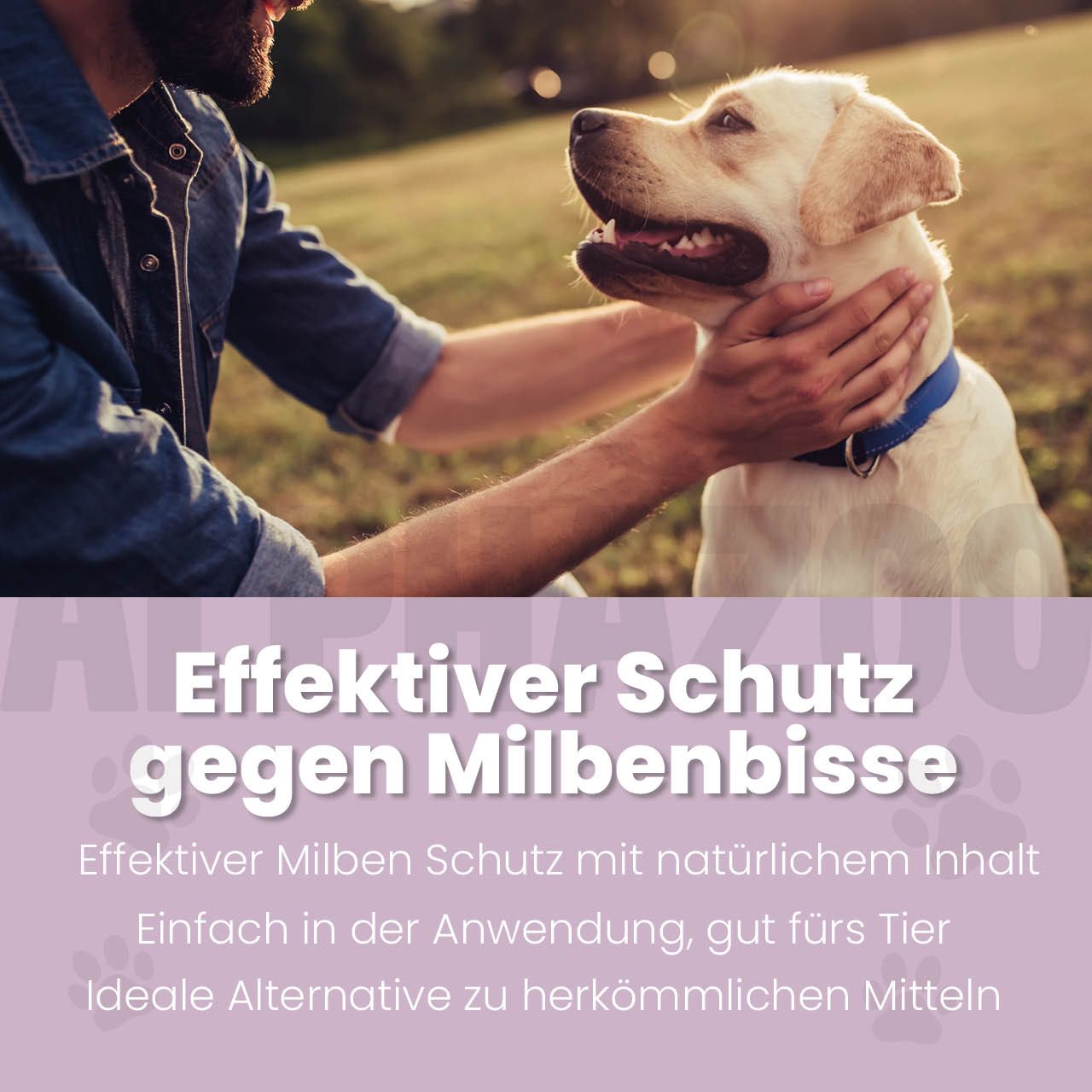 Mann und Hund im Freien. Text: Effektiver Schutz gegen Milbenbisse. Natürlicher Inhalt.