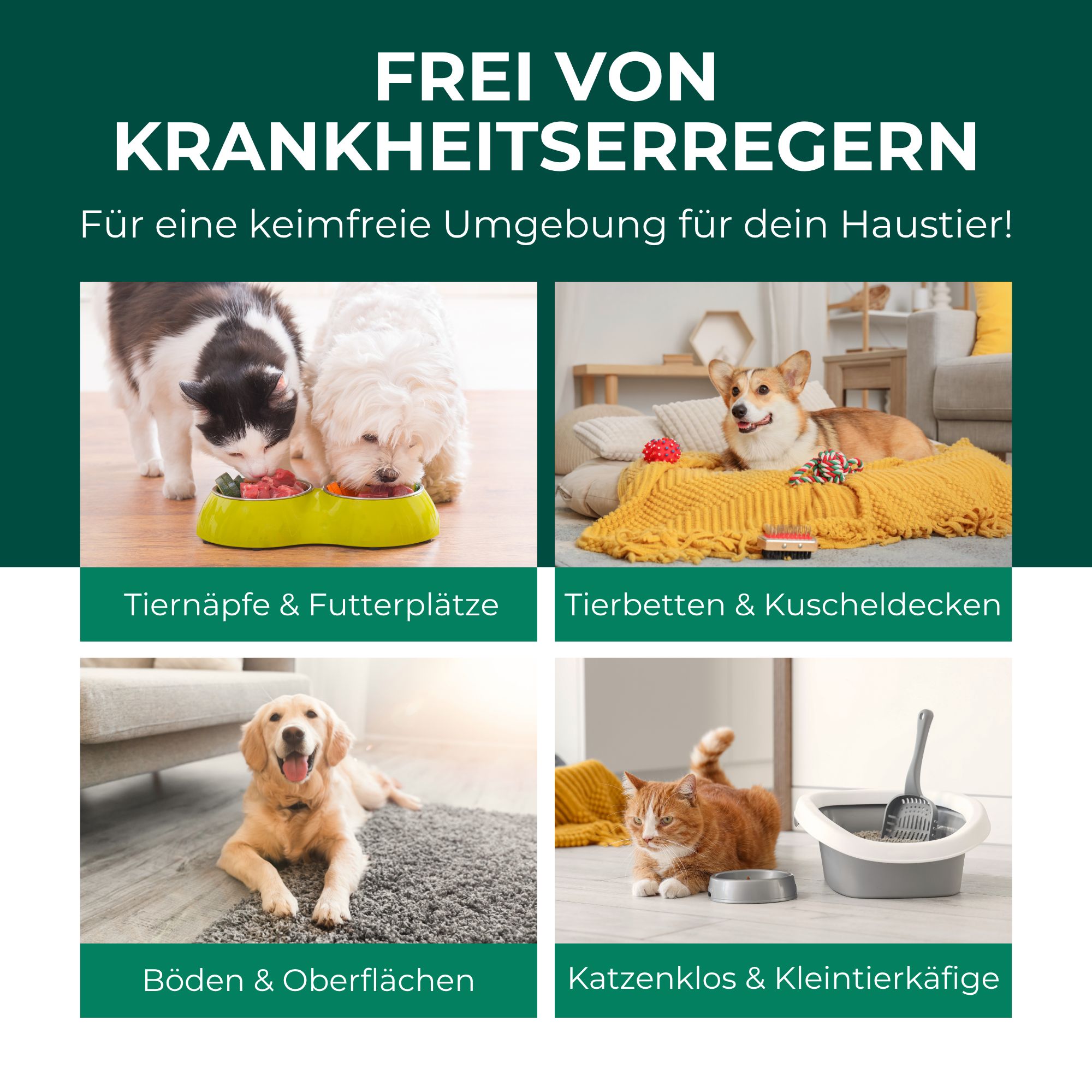 Vier Fotos mit Haustieren und Umgebung. Text: Tiernäpfe, Tierbetten, Böden, Katzenklos. Text: Frei von Krankheitserregern.
