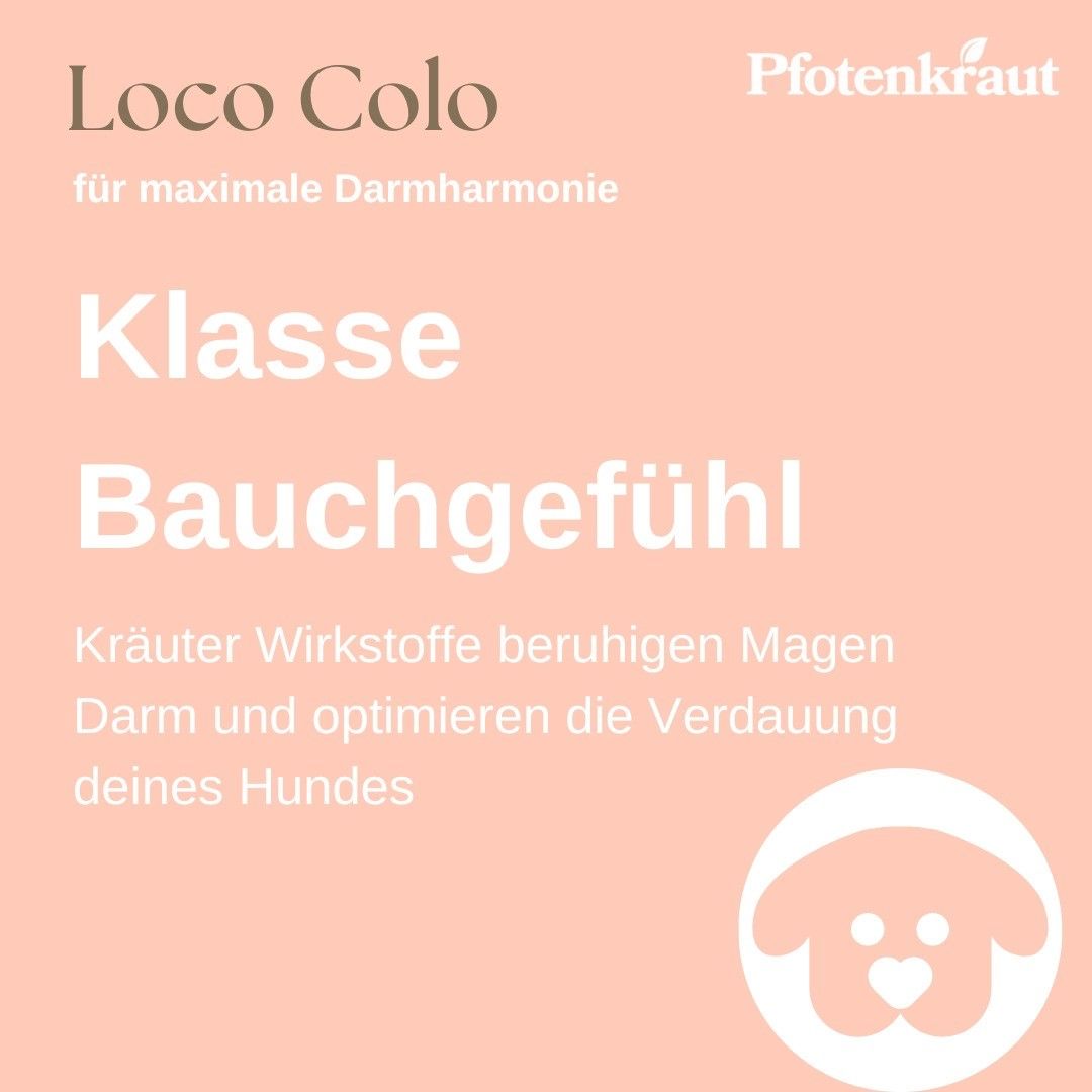 Pfotenkraut Darm Kräuter LOCO COLO