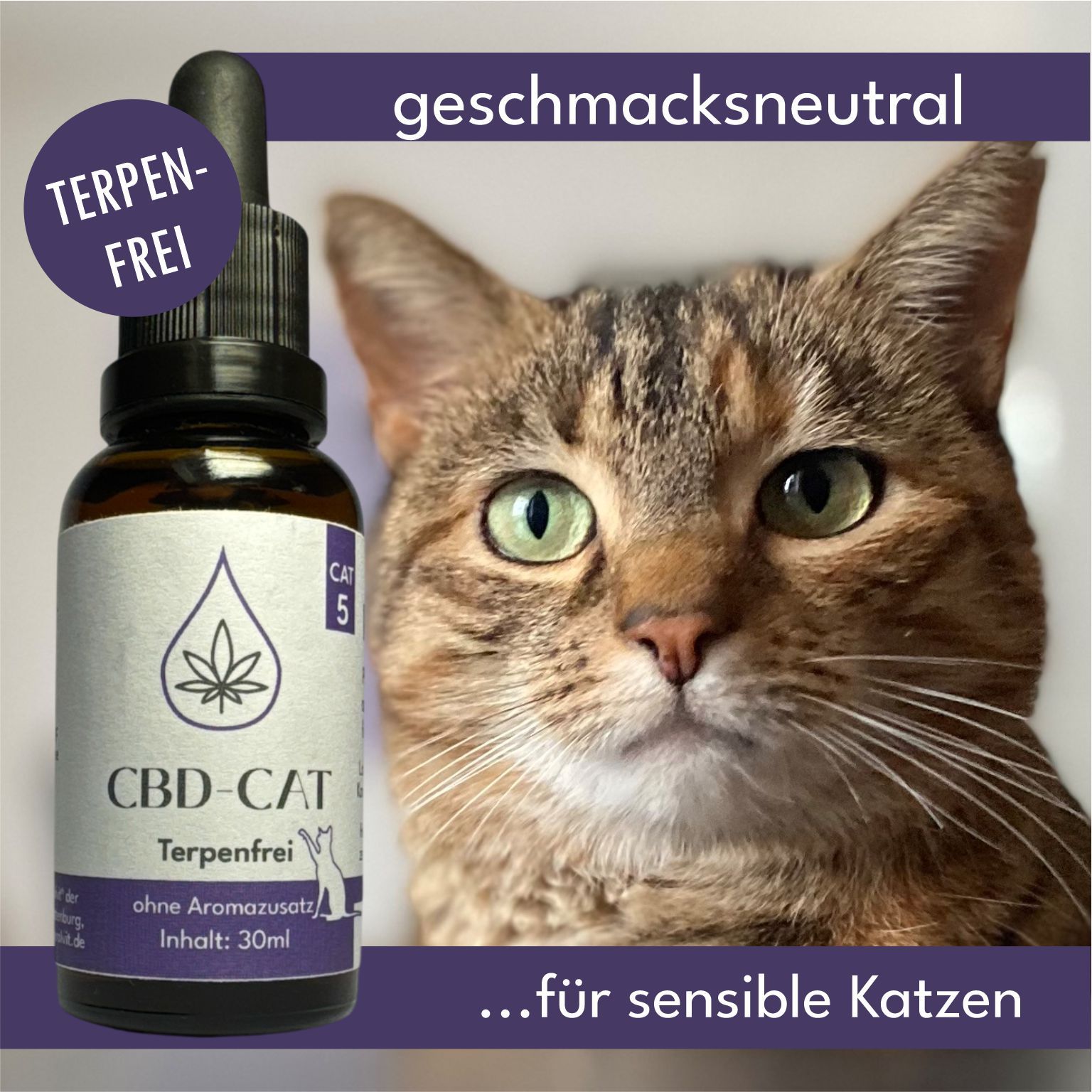 Katze neben einer 30ml CBD Öl Flasche für Katzen. Terpenfrei, geschmacksneutral.