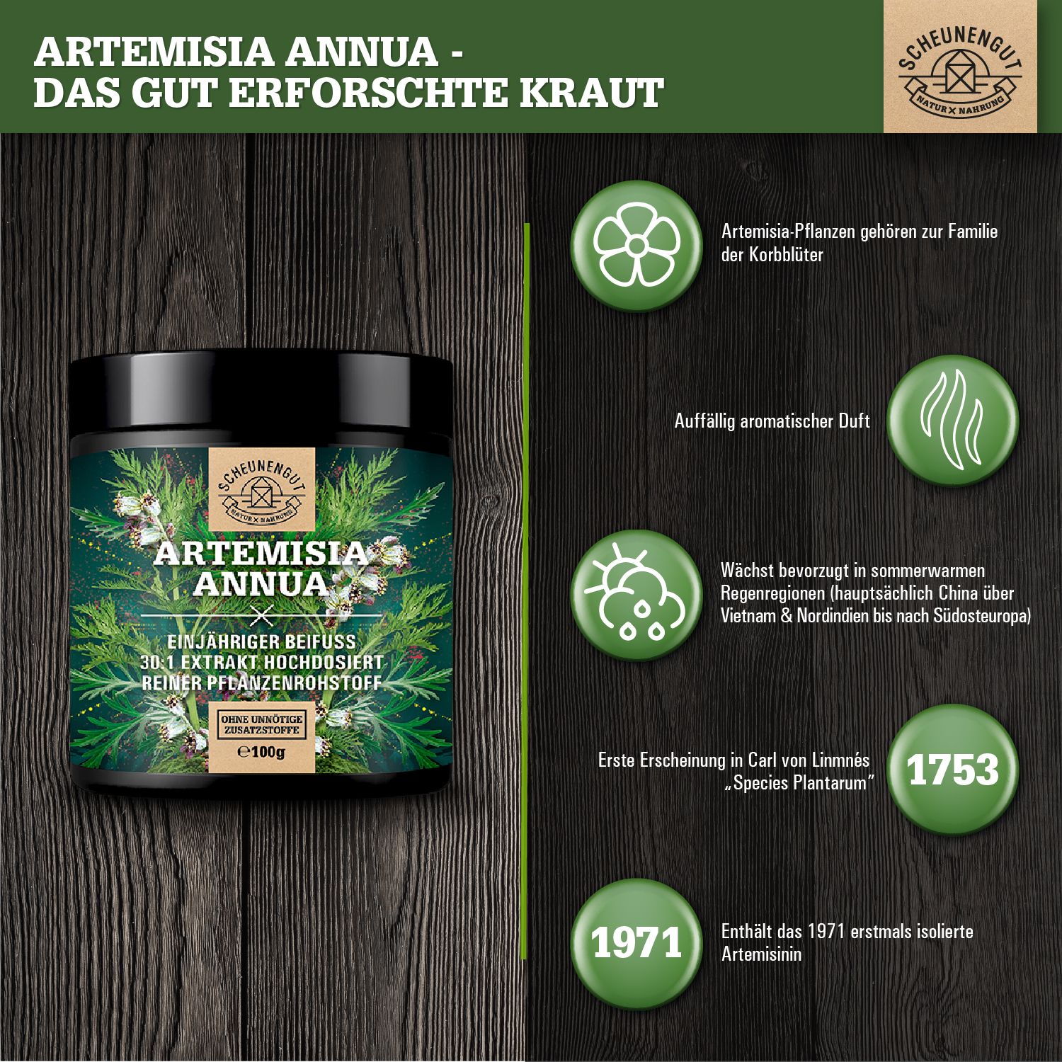 Produkt mit Informationen zu Artemisia Annua. Dose, grüne Kreise mit Text und Illustrationen auf Holzgrund.