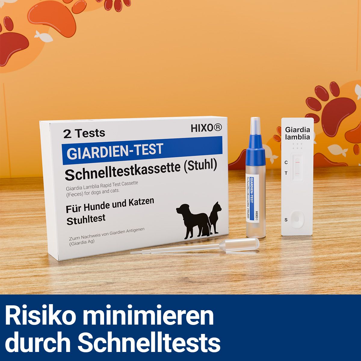 Testkit mit Testkassette, Probenröhrchen und Teststreifen. Hintergrund: Pfotenabdrücke. Text: Risikominimierung durch Schnelltests.