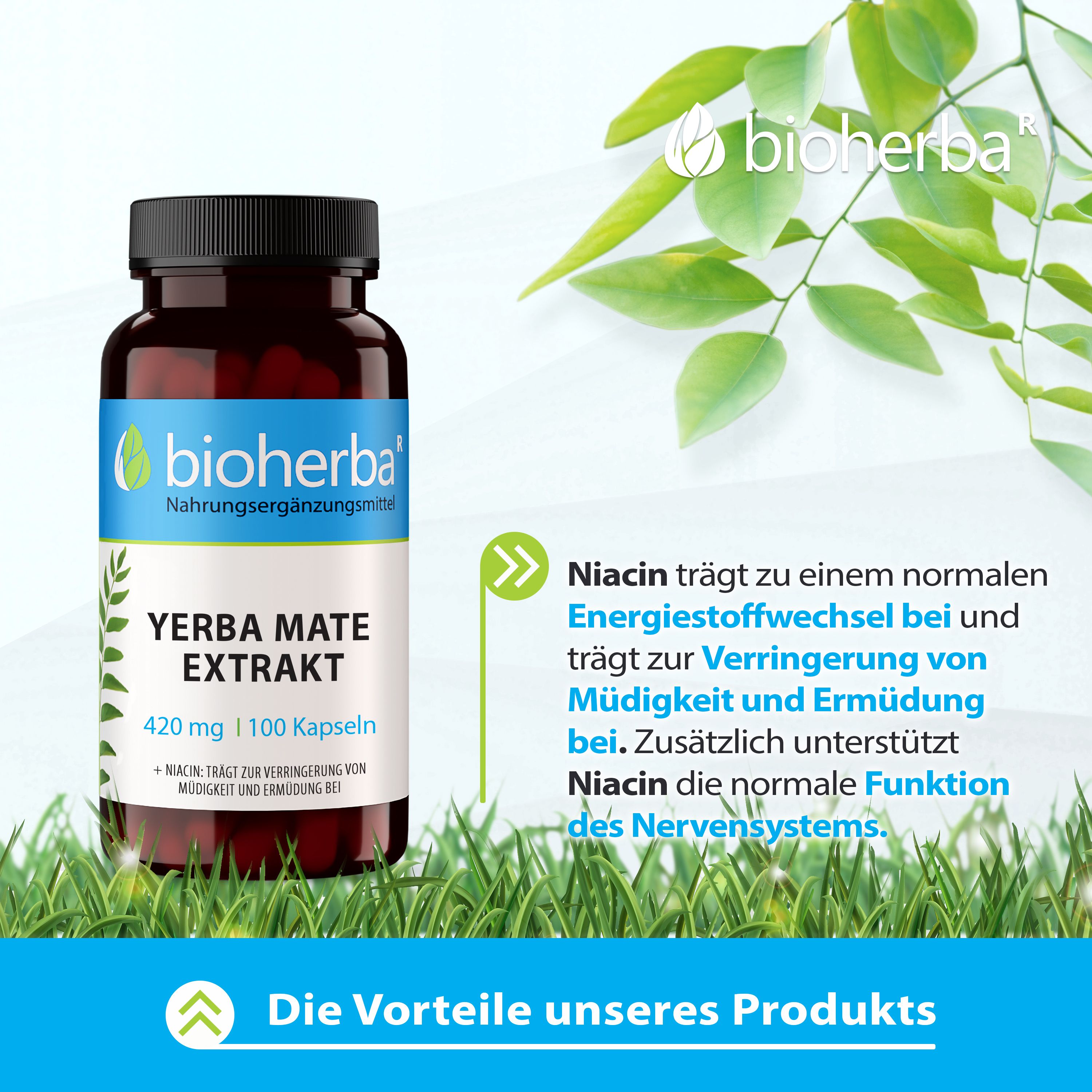 Bioherba Yerba Mate Extrakt Kapseln