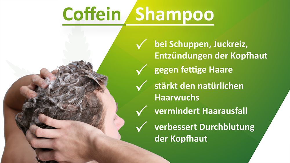 Style & Care Coffein Shampoo gegen Haarausfall, fettiges Haar und Schuppen