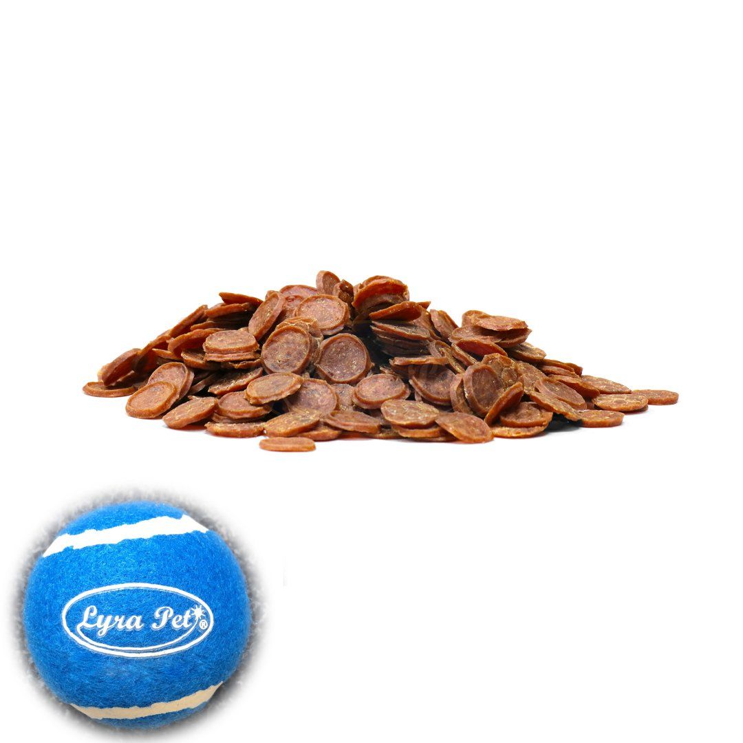 Lyra Pet® Entenchips + Tennis Ball