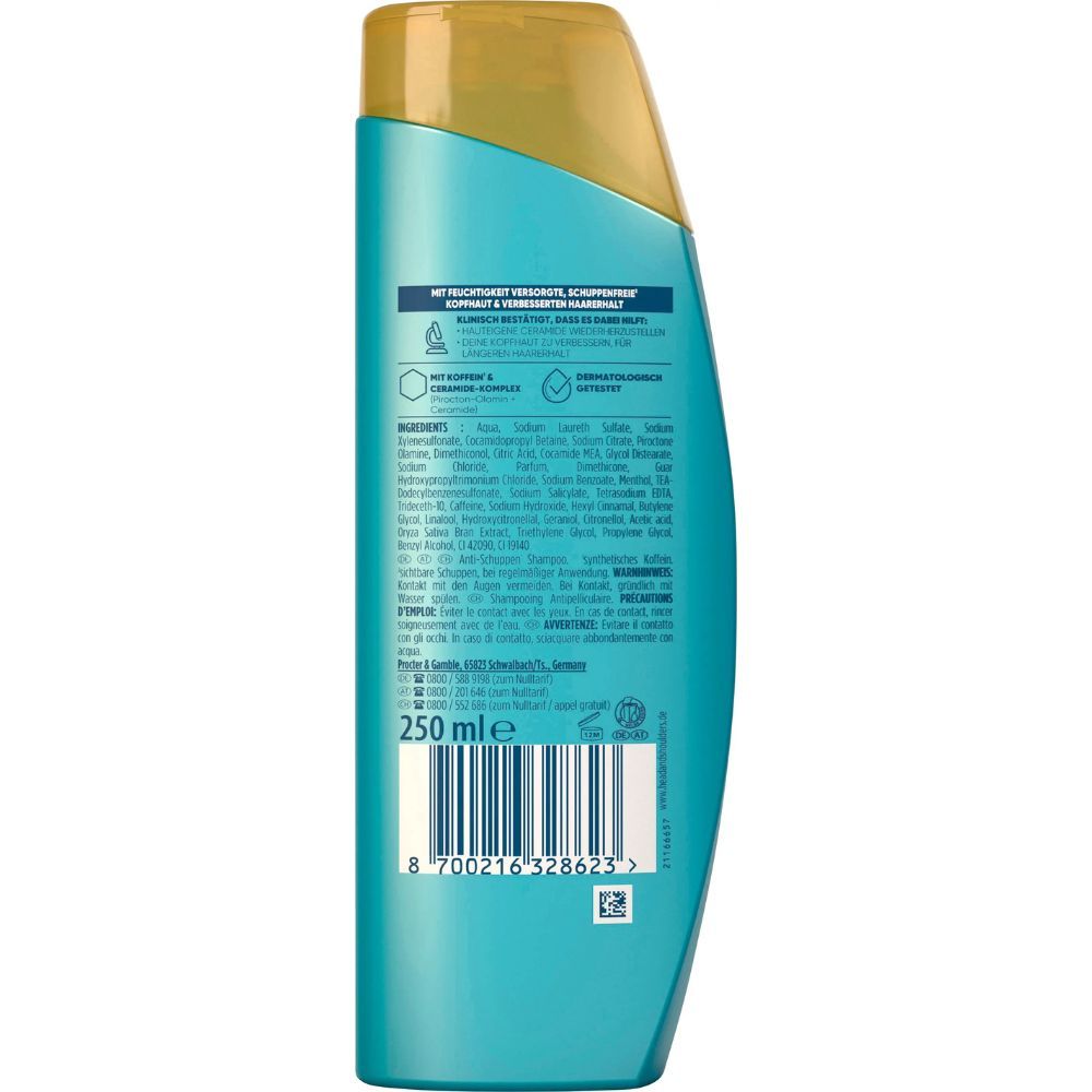 Rückseite einer türkisfarbenen Shampoo-Flasche. Aufschrift: Head & Shoulders Derma X Pro. Inhaltsstoffe und Informationen zur Anwendung.