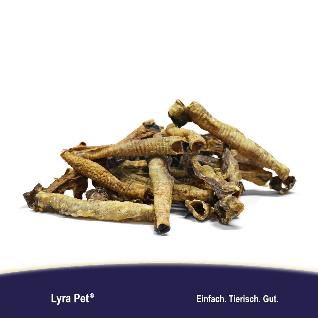 Lyra Pet® Lammstrossen