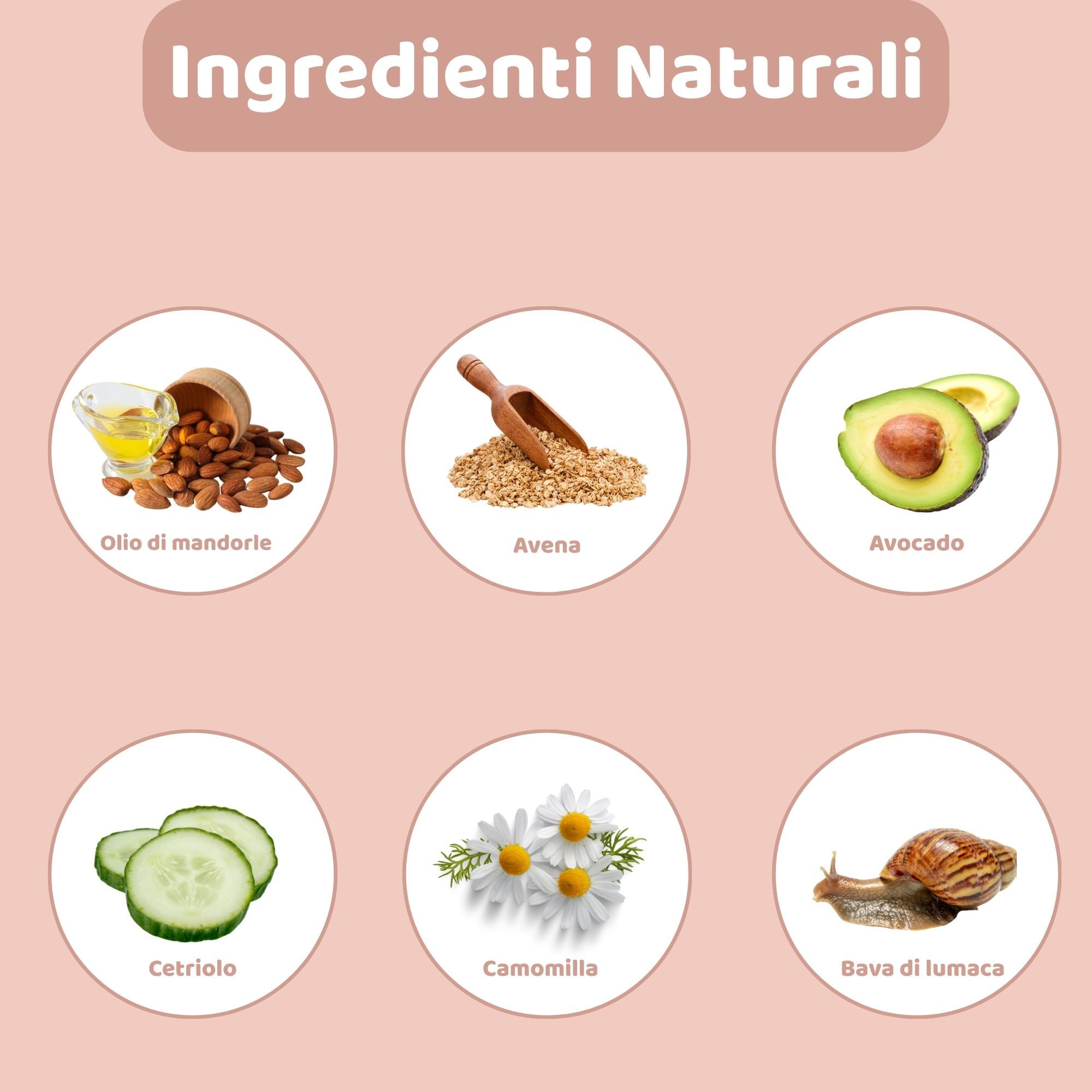 Illustration eines Hundes. Text: 'Wie wird es verwendet?' mit Anweisungen in vier Schritten.