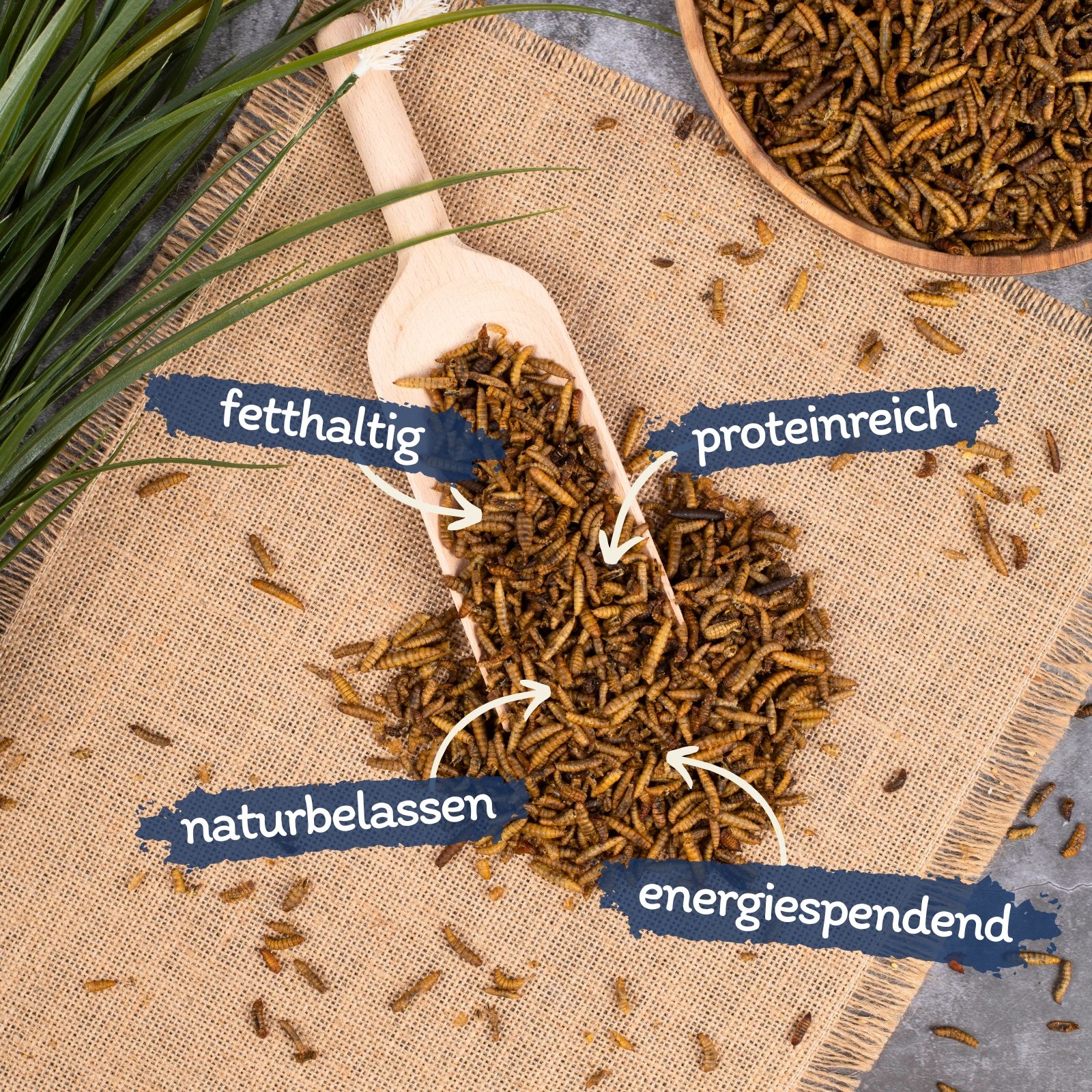 Lyra Pet® Insekten Probier Mix getrocknet