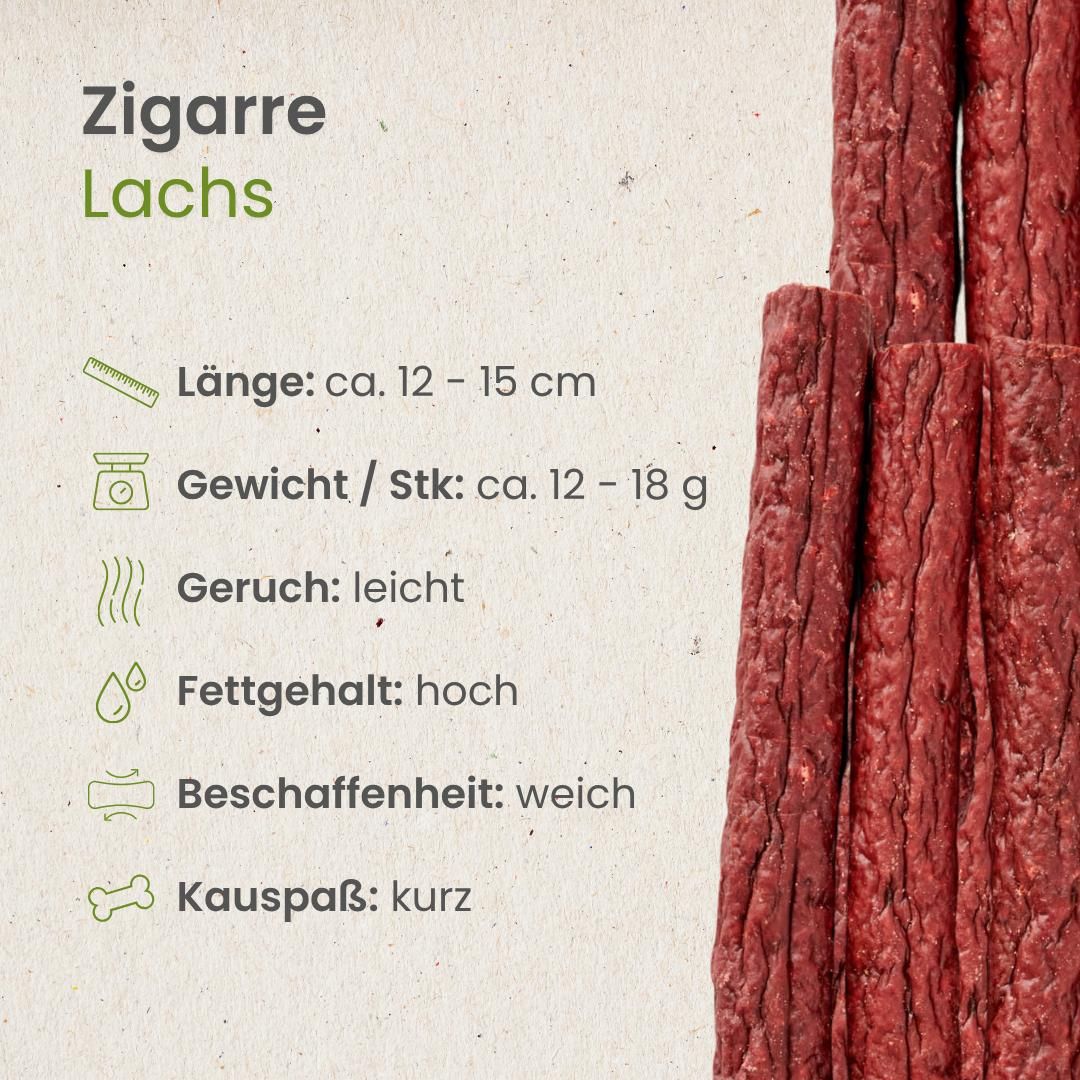 Text erklärt die Wichtigkeit von Kauartikeln für Hunde: Zahnpflege, Protein, Stressabbau. Schwarzer Hund mit Knochen im Maul.