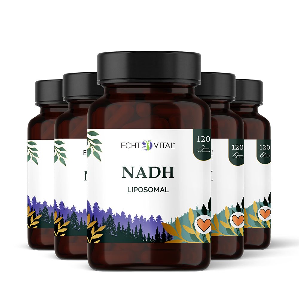 Mehrere braune Flaschen mit schwarzen Deckeln. Auf den Etiketten steht "ECHT VITAL NADH Liposomal".