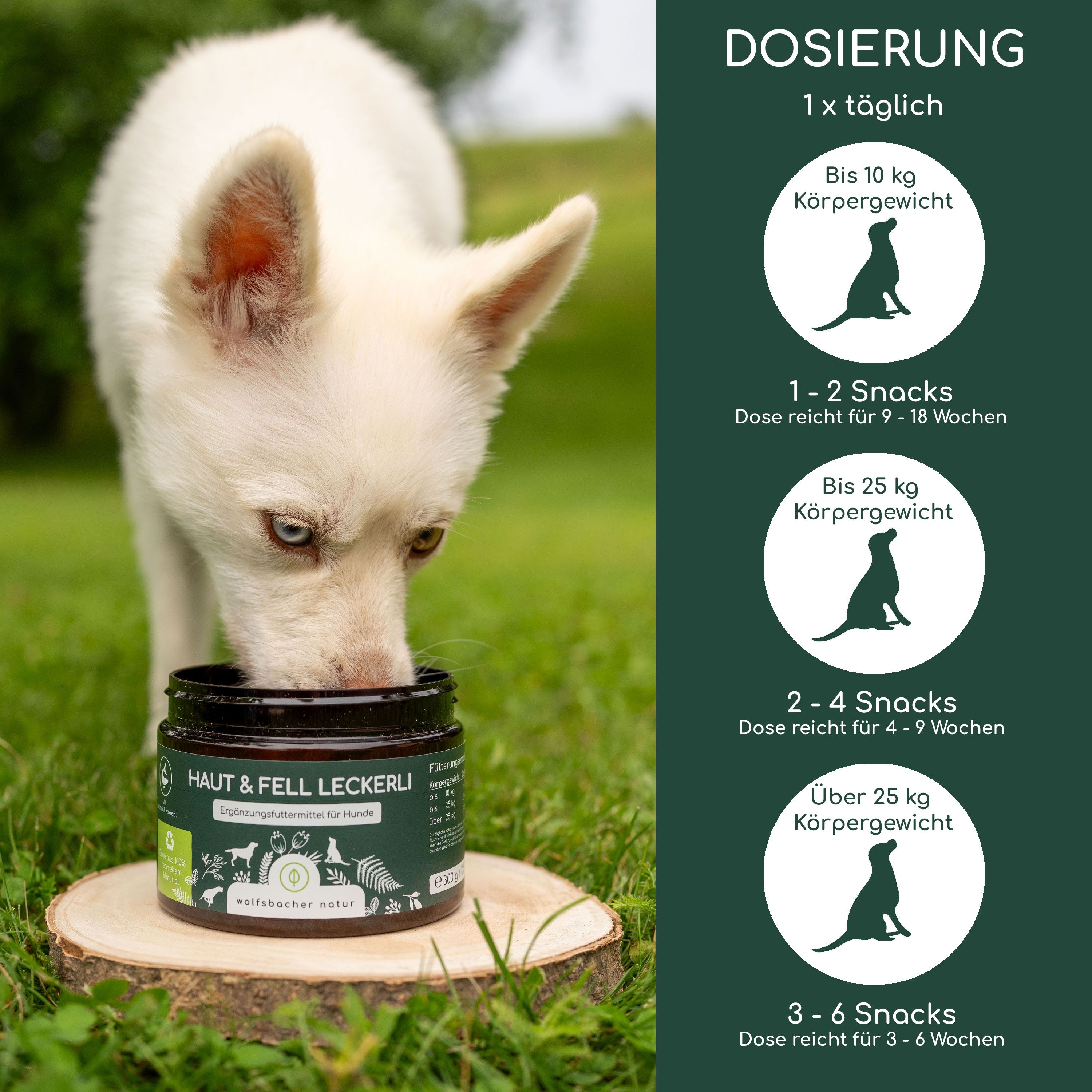 Welpe frisst aus Dose. Aufschrift: Haut & Fell Leckerli. Dosierung: 1-2 Snacks für 9-18 Wochen. Hintergrund: Holz und grüne Fläche.