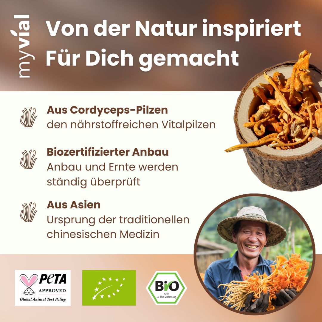 myvial® Bio Cordyceps Kapseln - 120 Stück aus reinem Fruchtkörper - vegan & plastikfrei