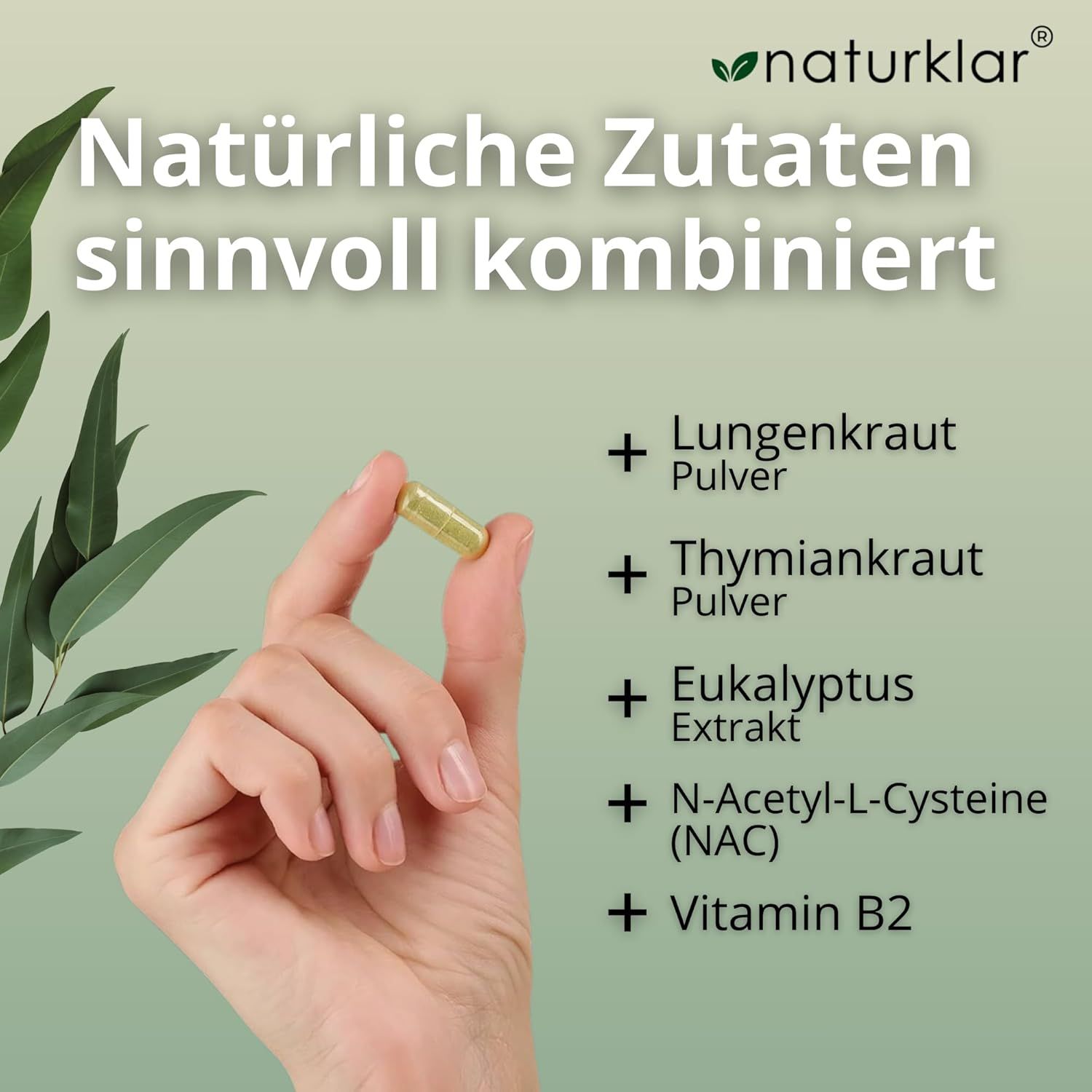 Naturklar Lungenkraut