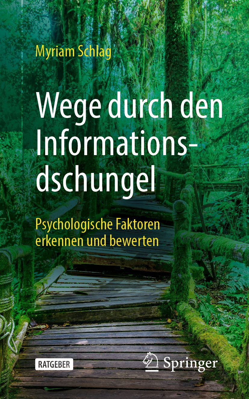 Buchcover mit Titel "Wege durch den Informationsdschungel". Autor: Myriam Schlag. Verlag Springer. Motiv: Holzbrücke im Wald.